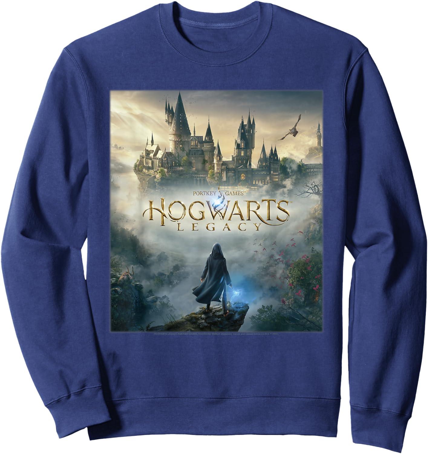 Harry Potter Hogwarts Legacy Poster Sweatshirt - Sweatshirt | Navy