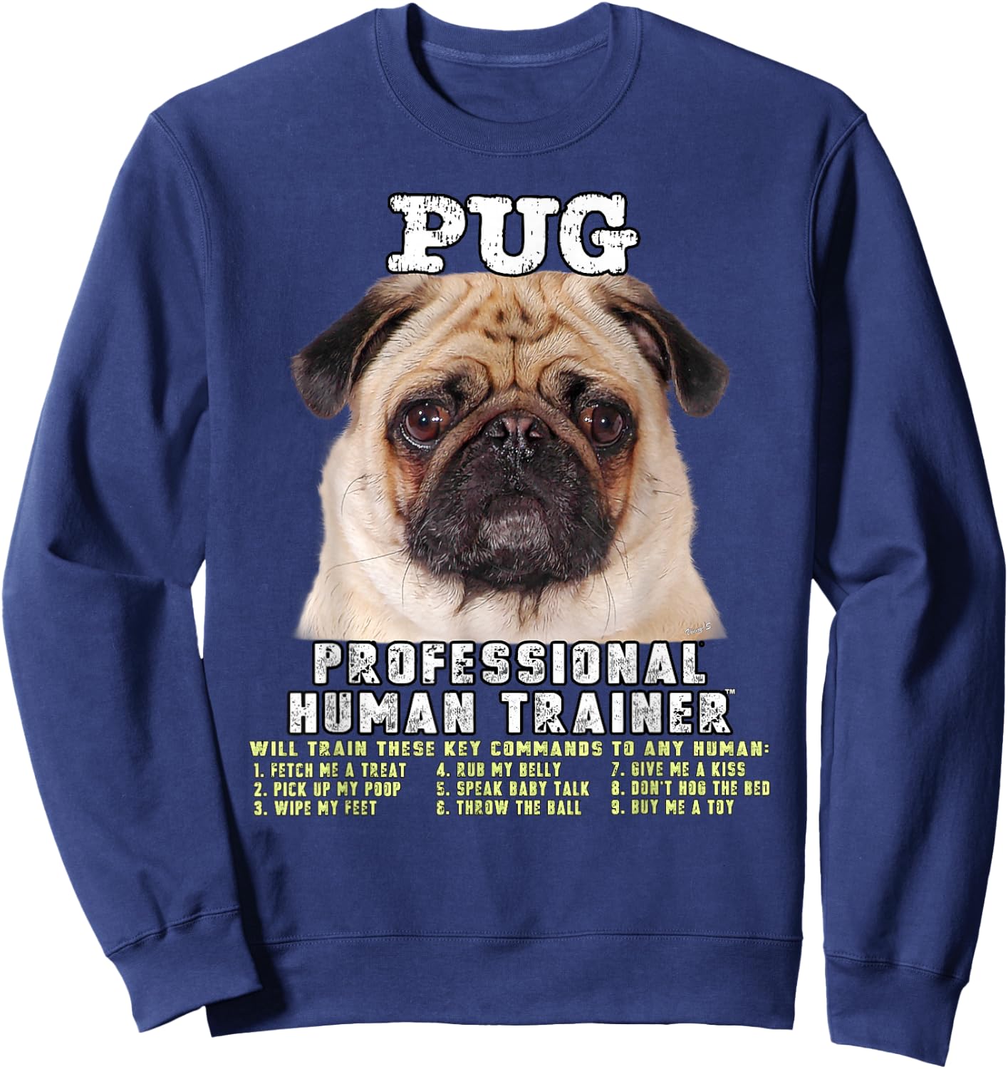 Pug Lover Owner Professional Human Trainer Gift Sweatshirt - Sweatshirt | Navy