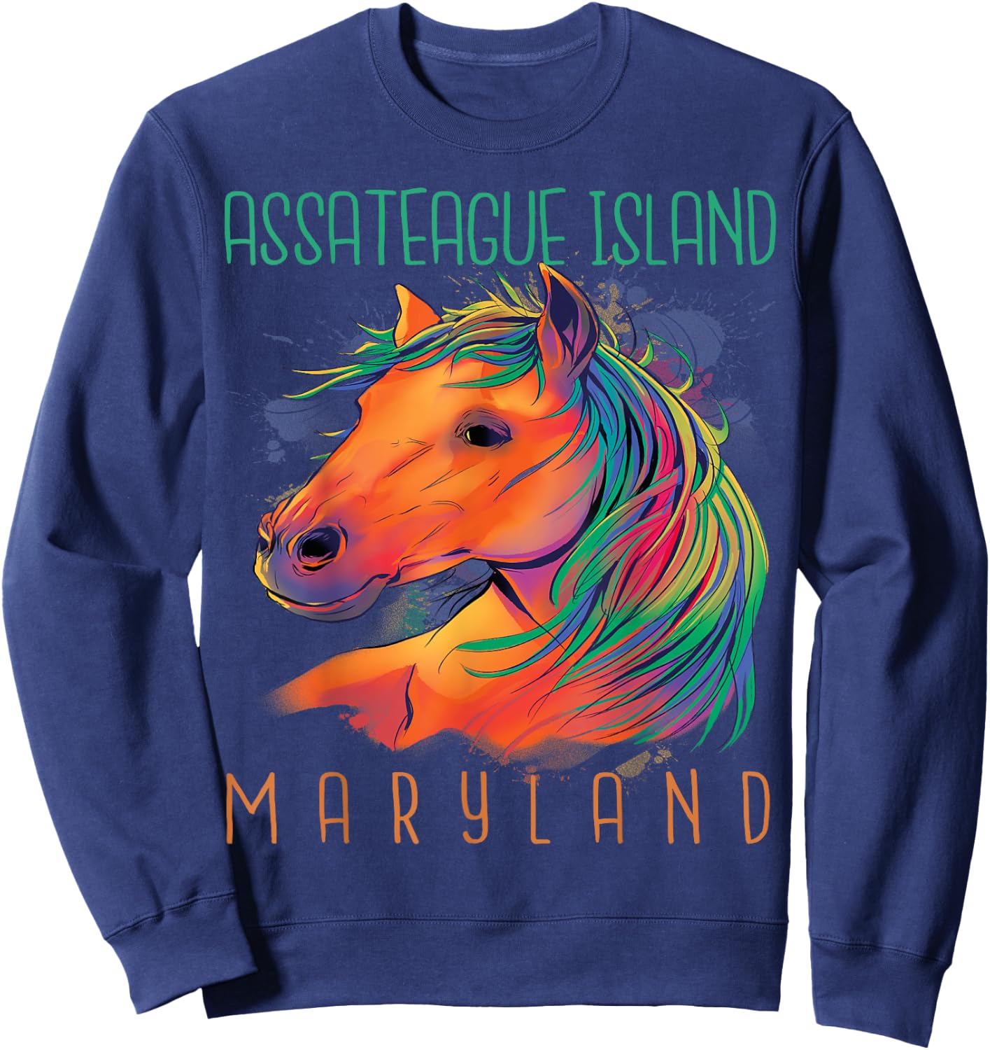 Colorful Horse Assateague Island Maryland Riding Souvenir Sweatshirt - Sweatshirt | Navy