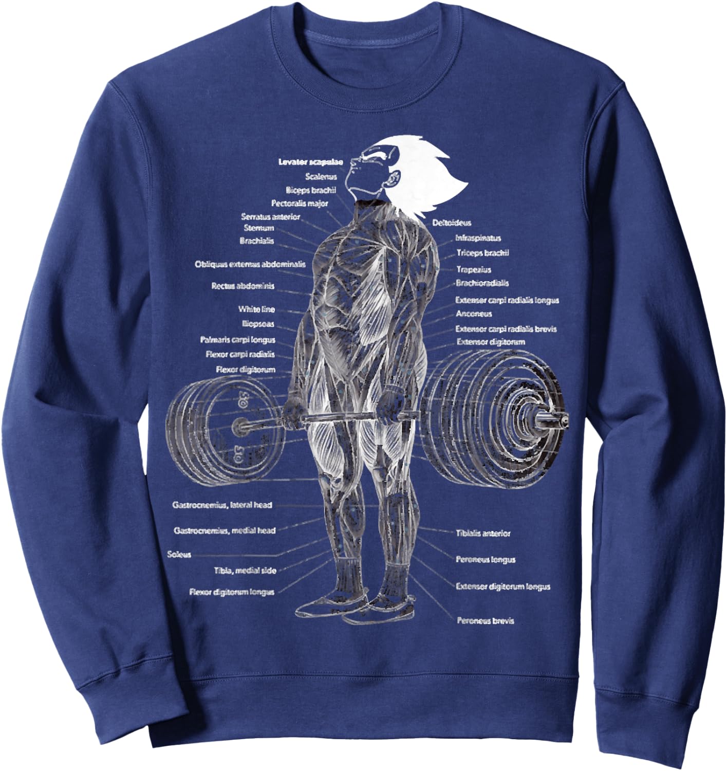 Anime Muscle Anatomy Chart Gym And Workout Motivation Outfit Sweatshirt - Sweatshirt | Navy