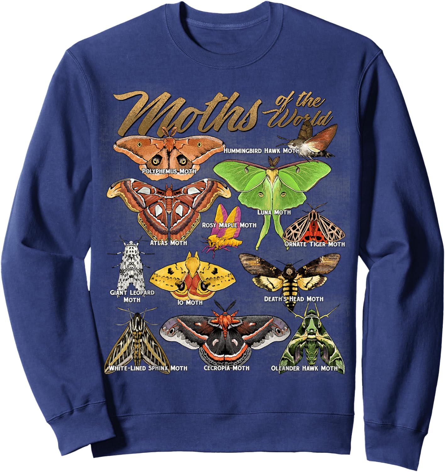 Moths Animals of The World Educational Insect Moth Lover Sweatshirt - Sweatshirt | Navy