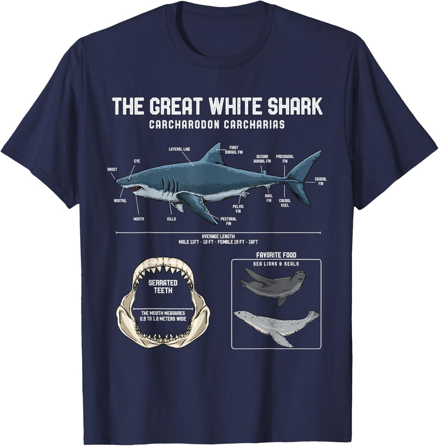 Great White Shark Anatomy Shirt - Shark Marine Biologist T-Shirt - T-Shirt | Navy