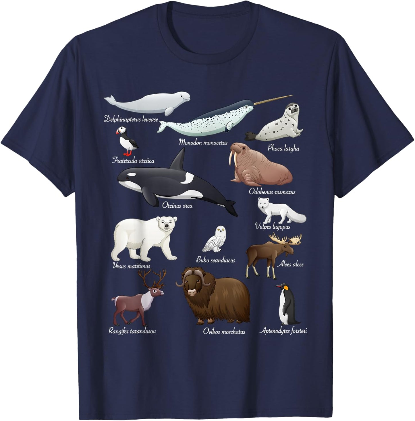 Arctic Wildlife Animals Scientific Names For Education T-Shirt - T-Shirt | Navy