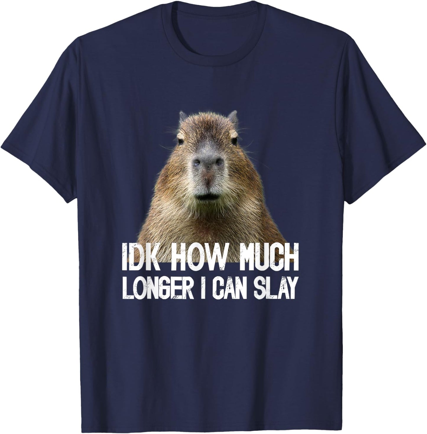 Idk How Much Longer I Can Slay Capybara Sarcastic Dank Meme T-Shirt - T-Shirt | Navy