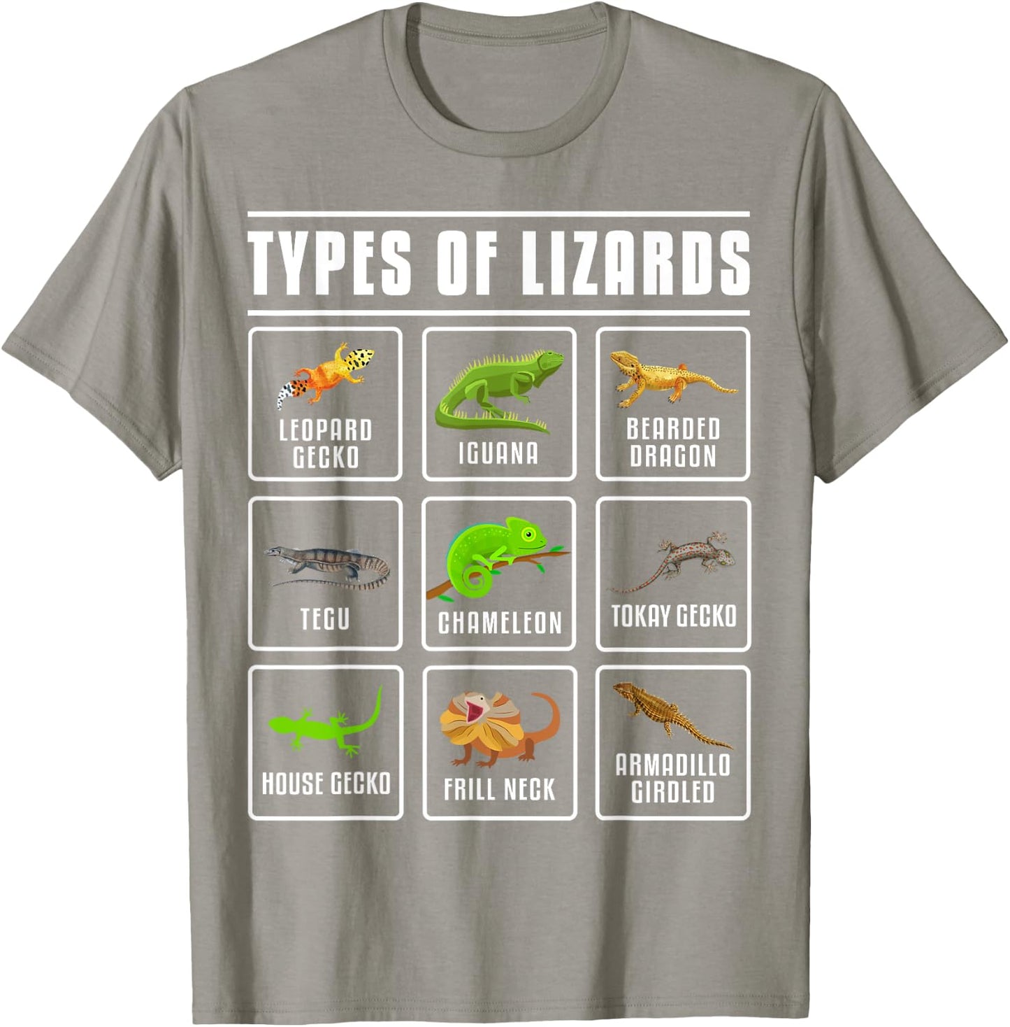 Types of Lizards Lizard Reptiles T-Shirt - T-Shirt | Sand
