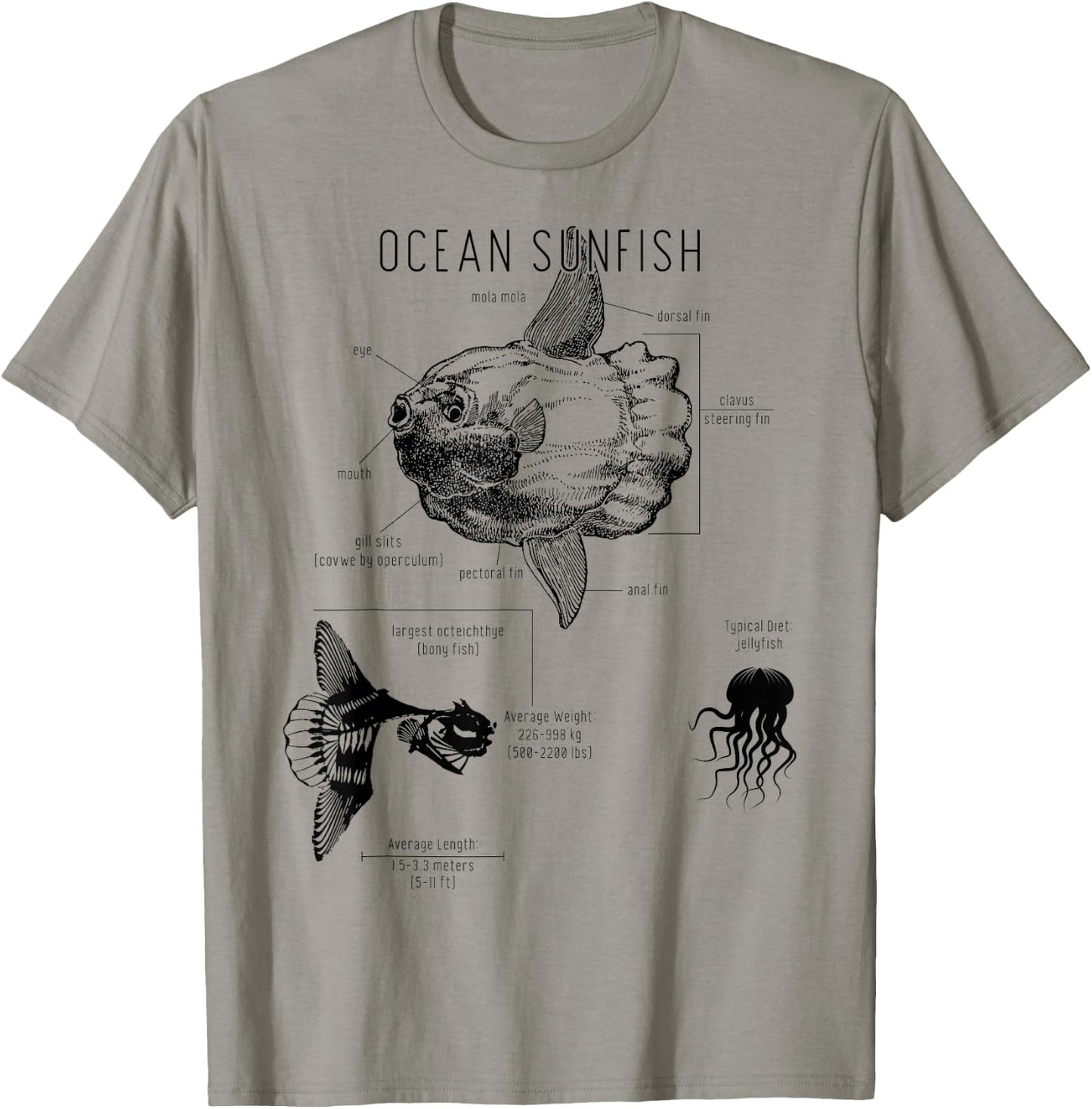 Ocean Sunfish Common Mola Anatomy Mola Mola T-Shirt - T-Shirt | Sand