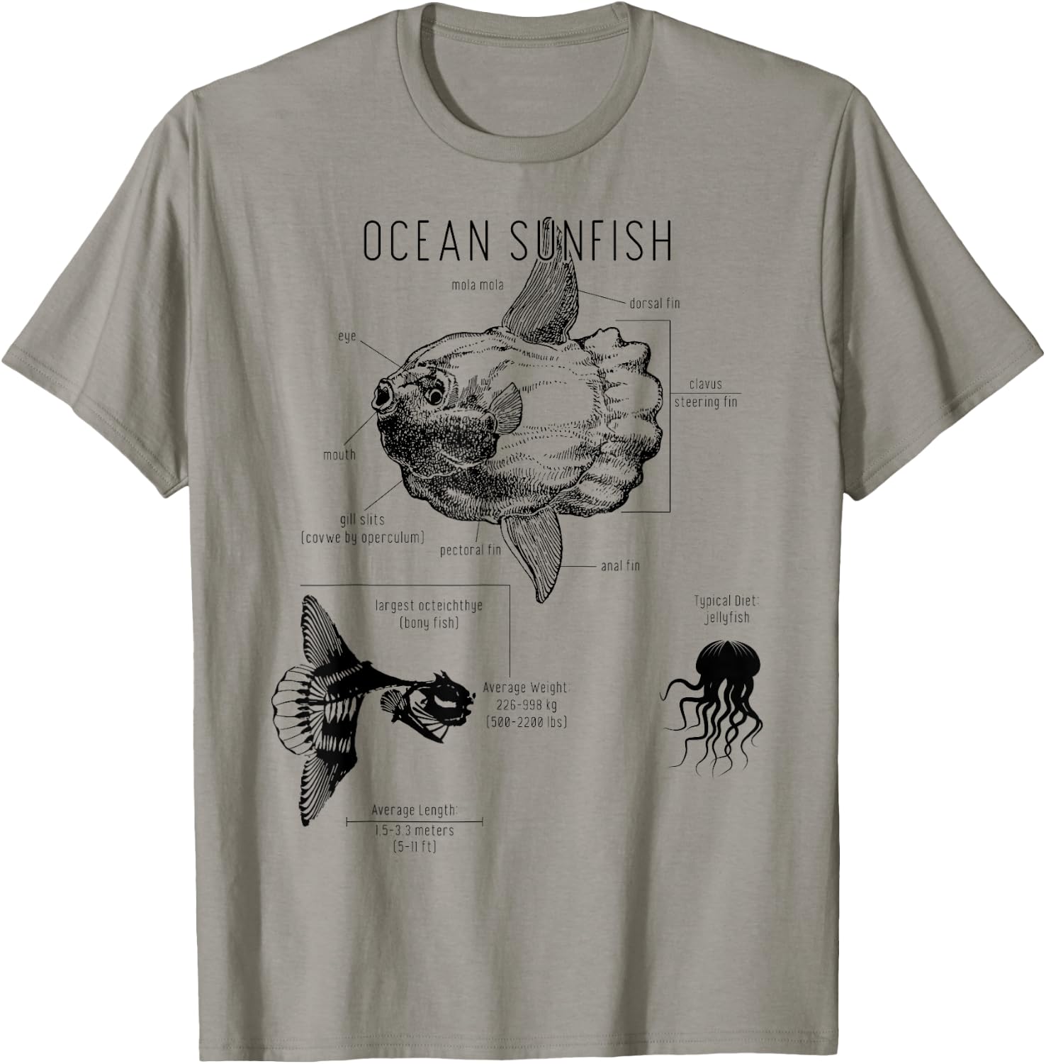 Ocean Sunfish Common Mola Anatomy Mola Mola T-Shirt - T-Shirt | Sand