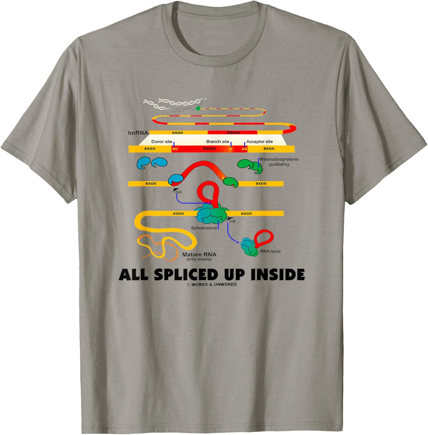 All Spliced Up Inside Mature RNA Gene Splicing Geek Humor T-Shirt - T-Shirt | Sand