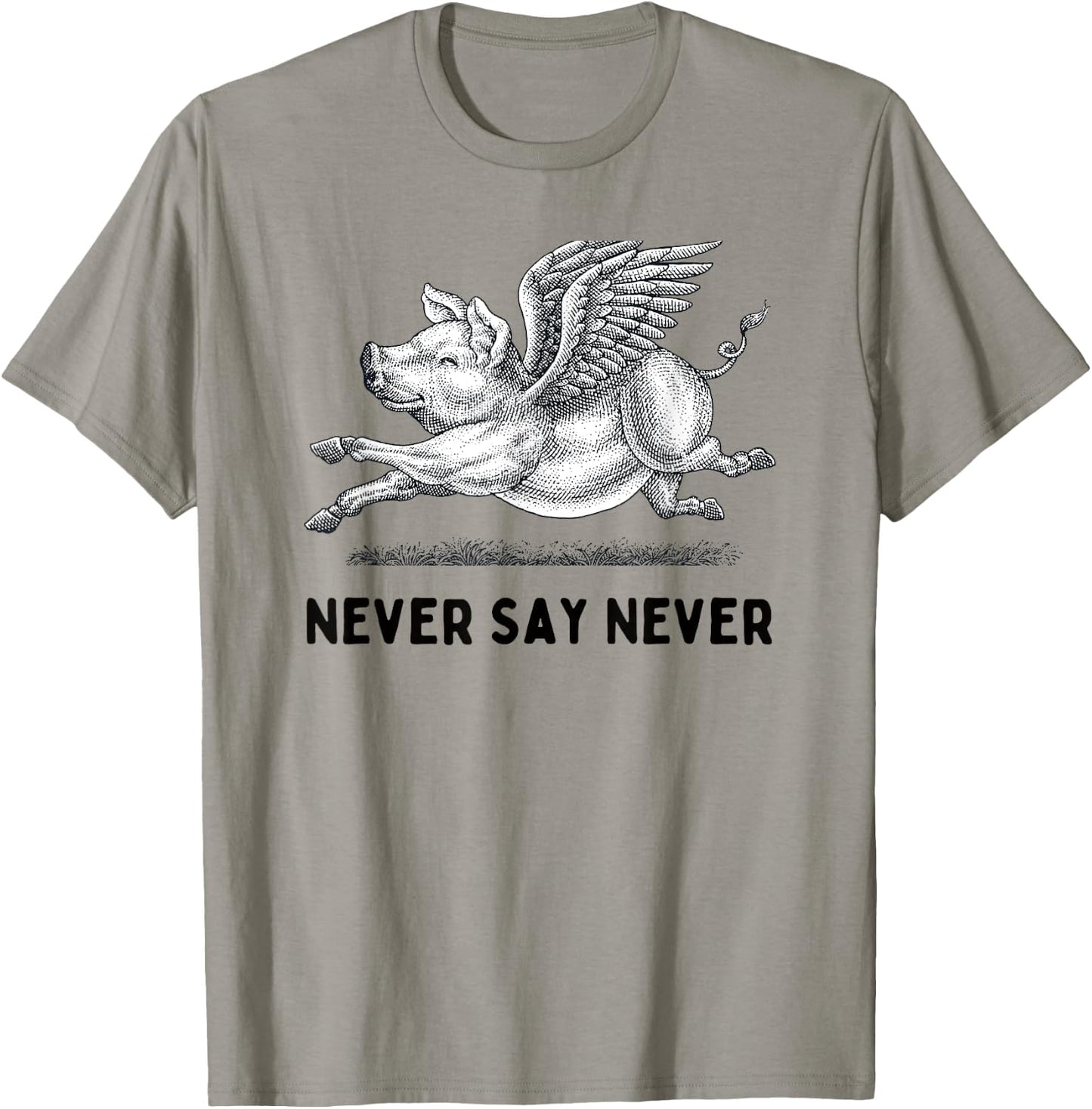 Never Say Never Inspiring Flying Pig Embrace Impossibity T-Shirt - T-Shirt | Sand