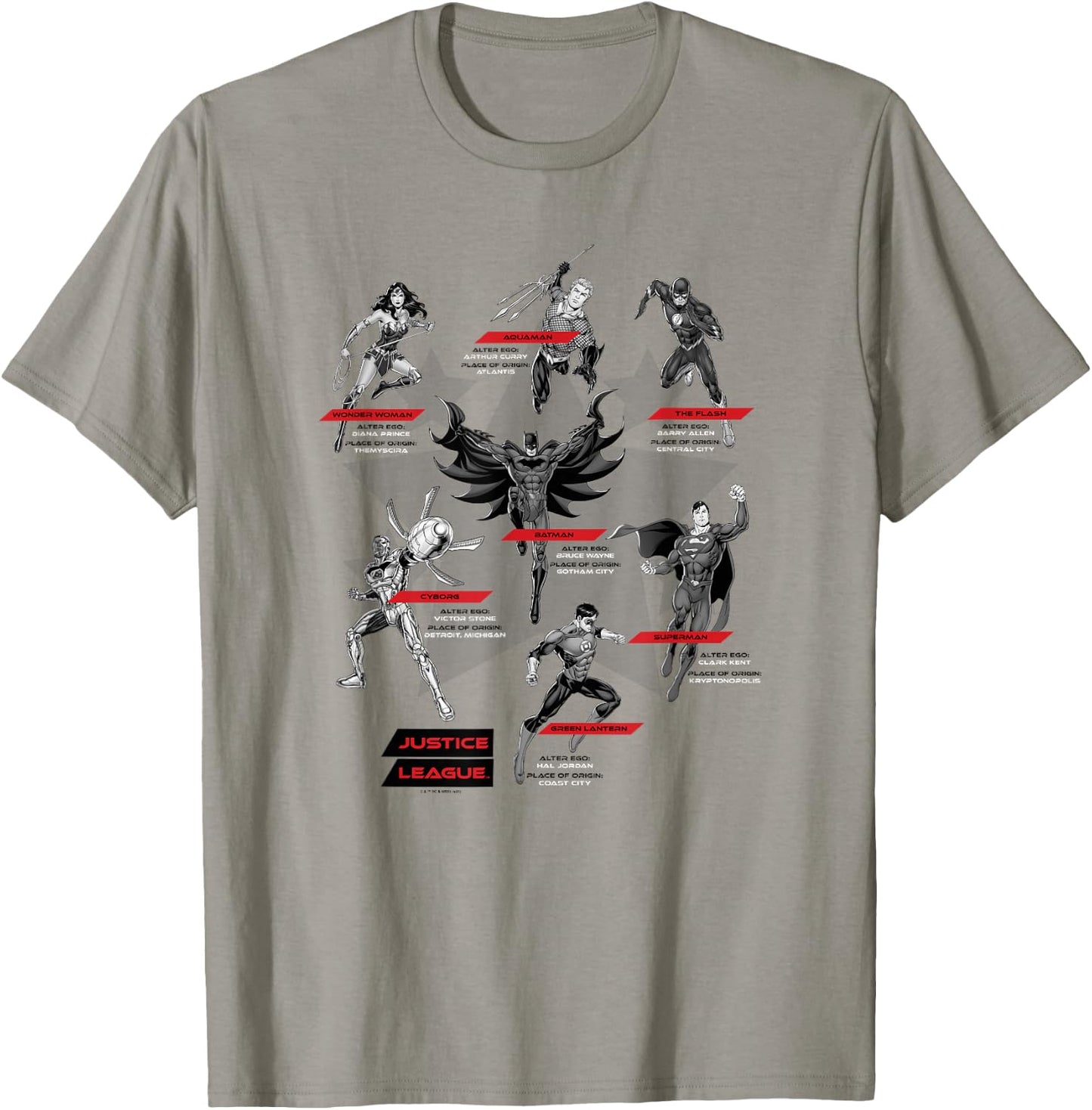 DC Comics Justice League Group Shot Members Logo T-Shirt - T-Shirt | Sand