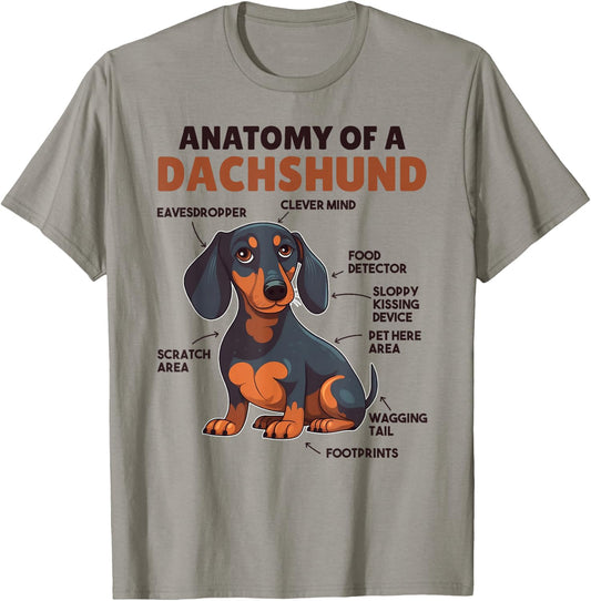 Favorite Animal Cute Animals Explanations Dachshund Anatomy - Kids, Animal Lovers - White - Short Sleeve - - - Small - Classic Fit - Lightweight - Cotton, Polyester T-Shirt - T-Shirt | Sand