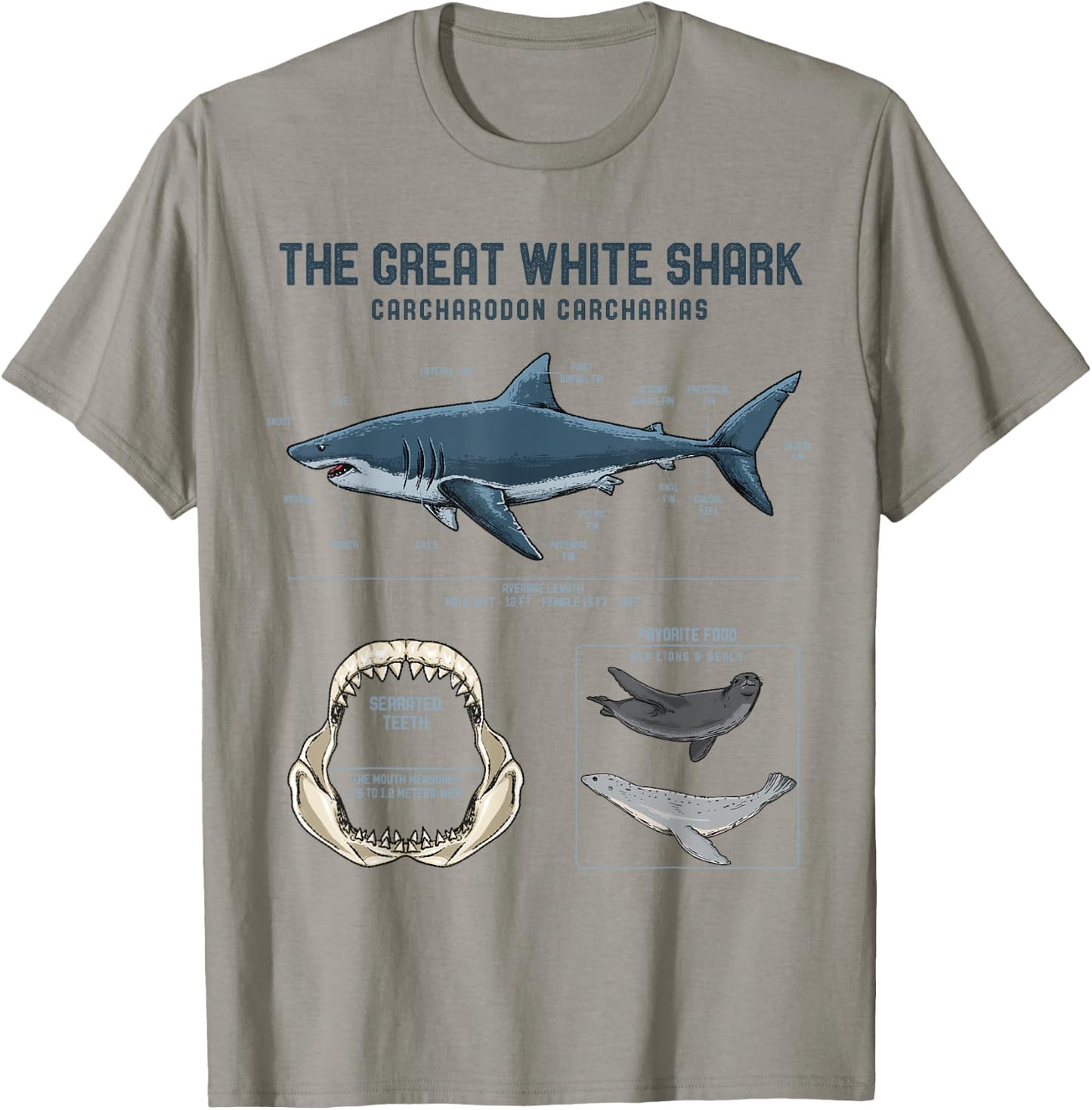 Great White Shark Anatomy Shirt - Shark Marine Biologist T-Shirt - T-Shirt | Sand