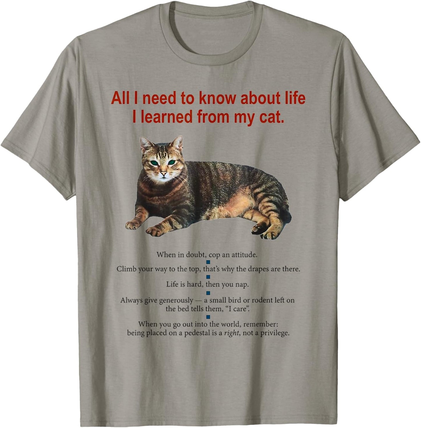 Everything I Need To Know About Life I Learned From My Cat Women T-Shirt - T-Shirt | Sand