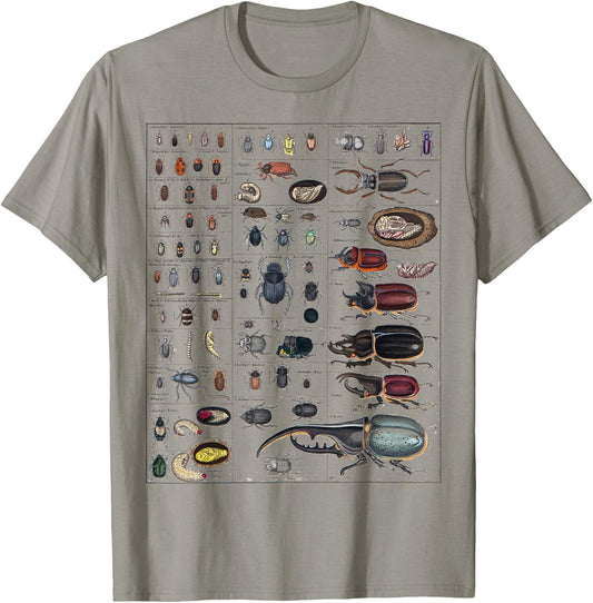 Insects Collection Species Bugs vintage Chart Entomology T-Shirt - T-Shirt | Sand