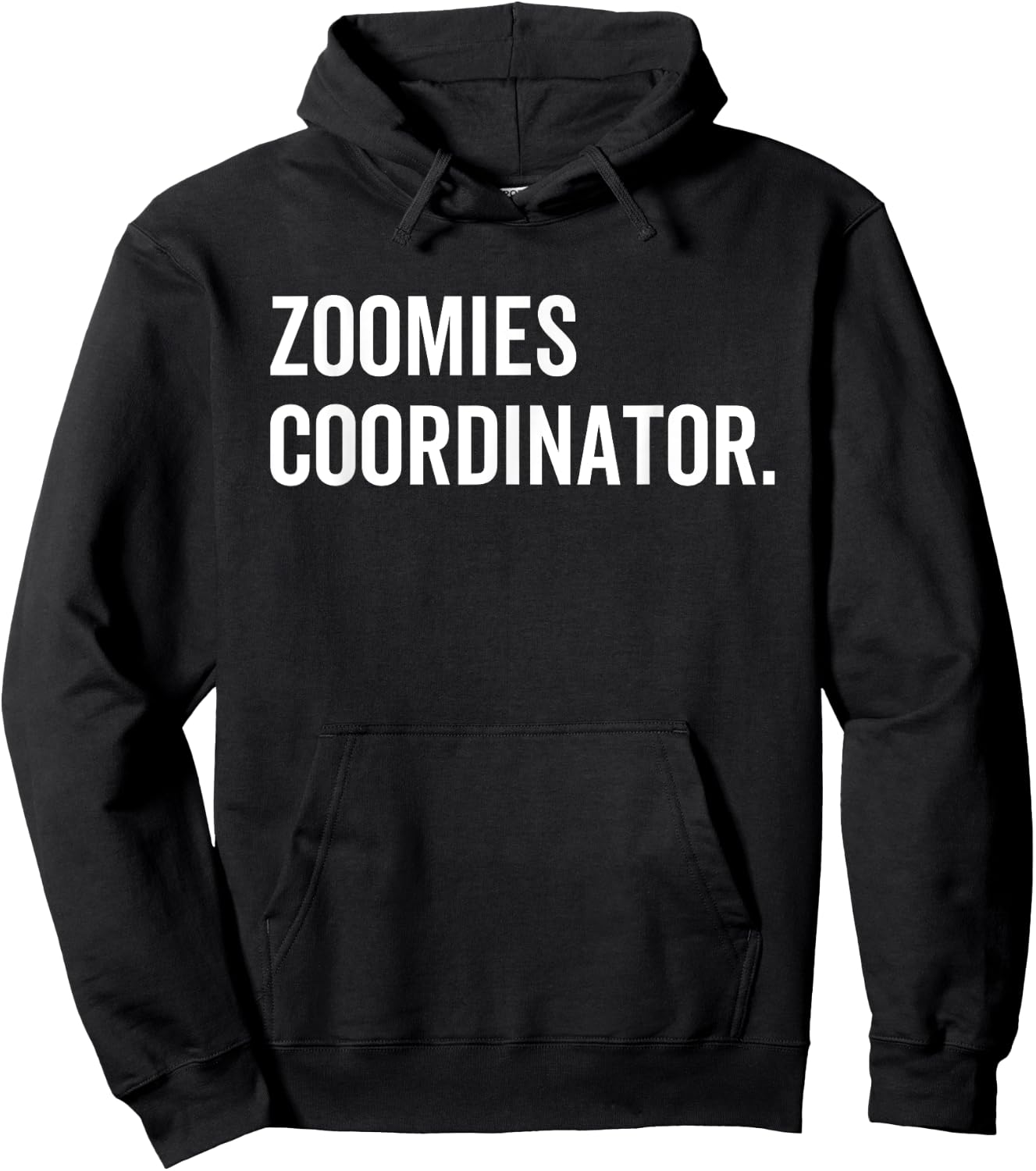 Zoomies Coordinator Humorous Funny Dog Walker Humor Sarcasm Men Women Hoodie - Hoodie | Black