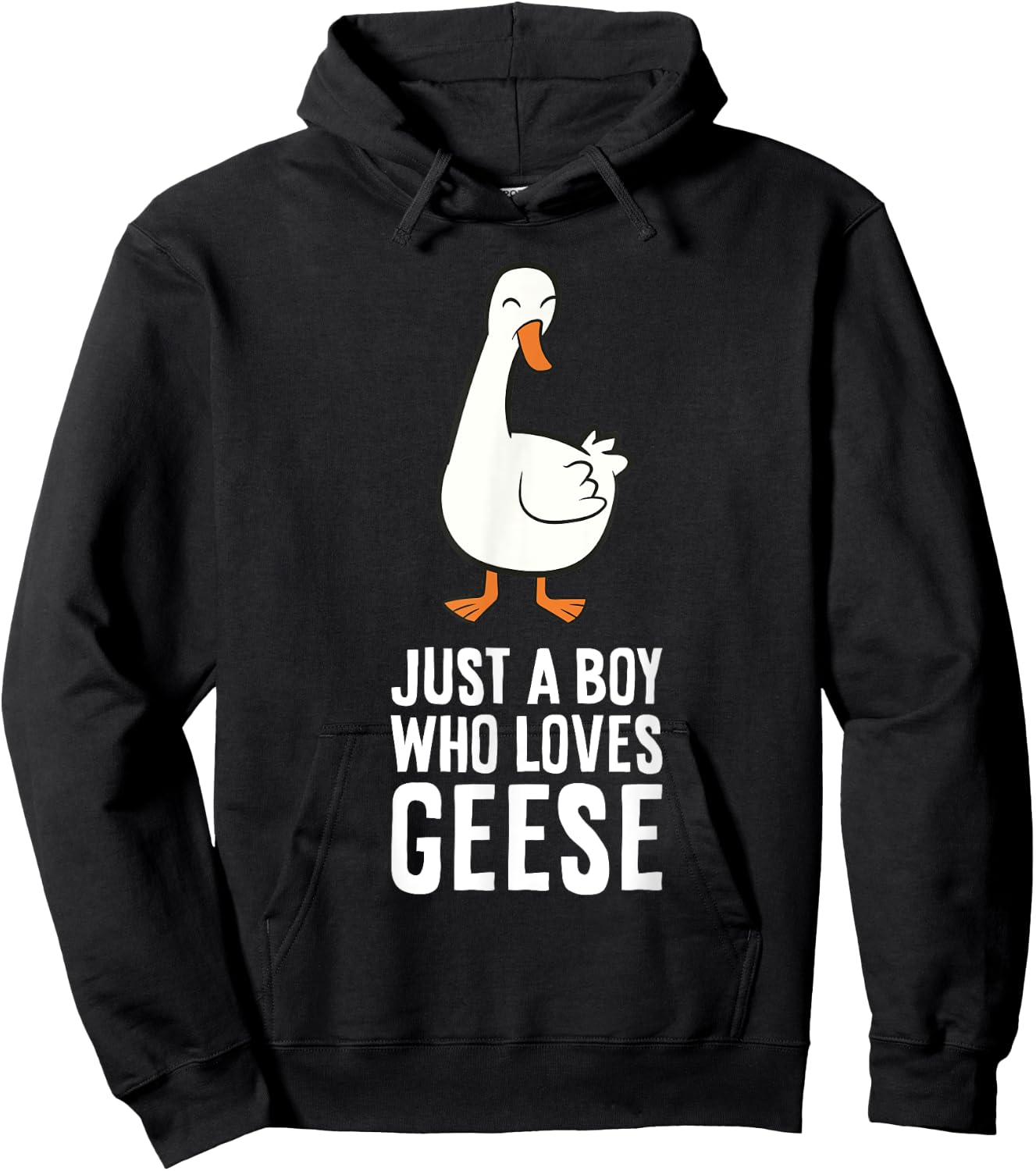 Just a Boy Who Loves Geese Hoodie - Hoodie | Black