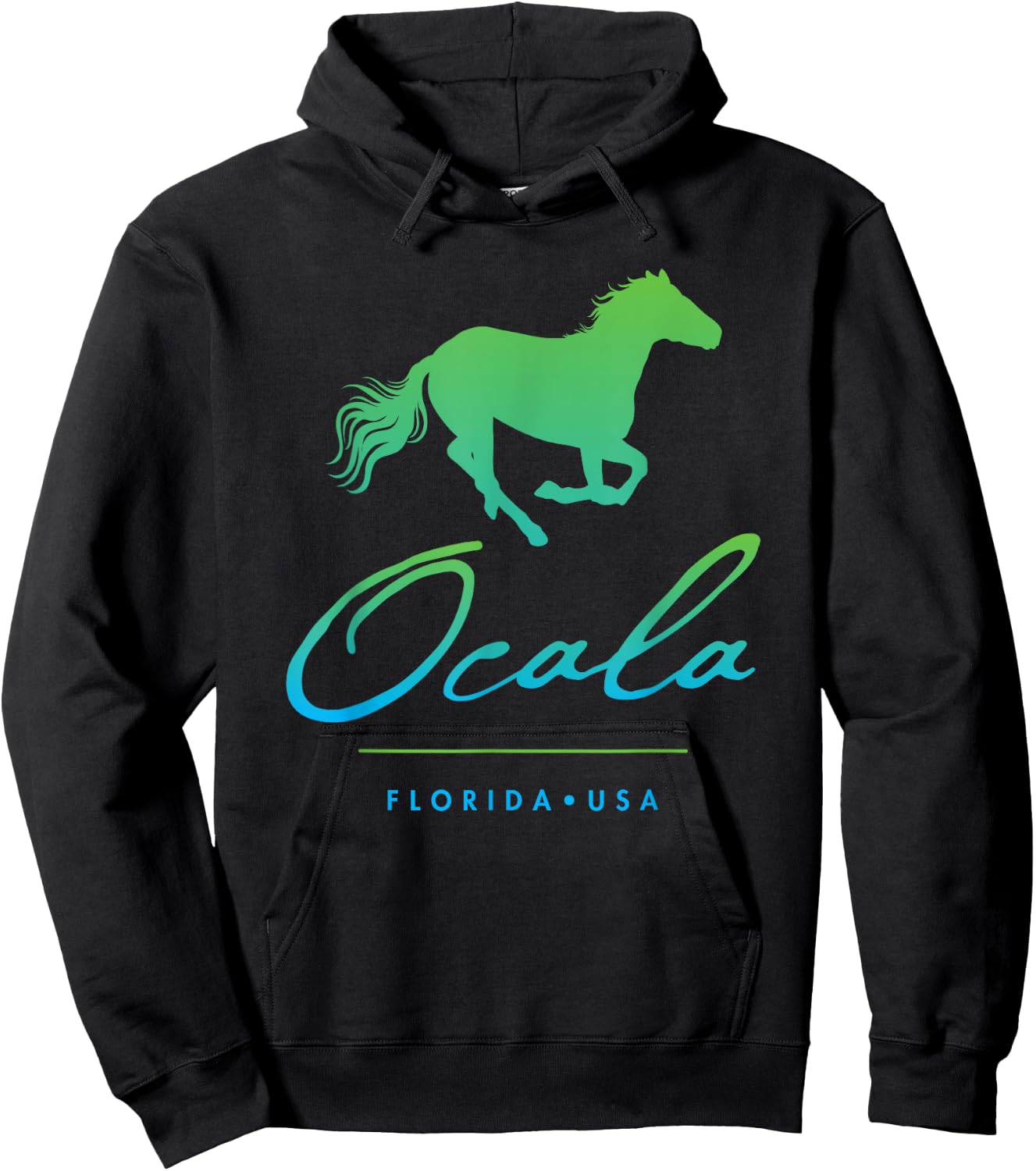 Ocala Florida Hoodie - Hoodie | Black
