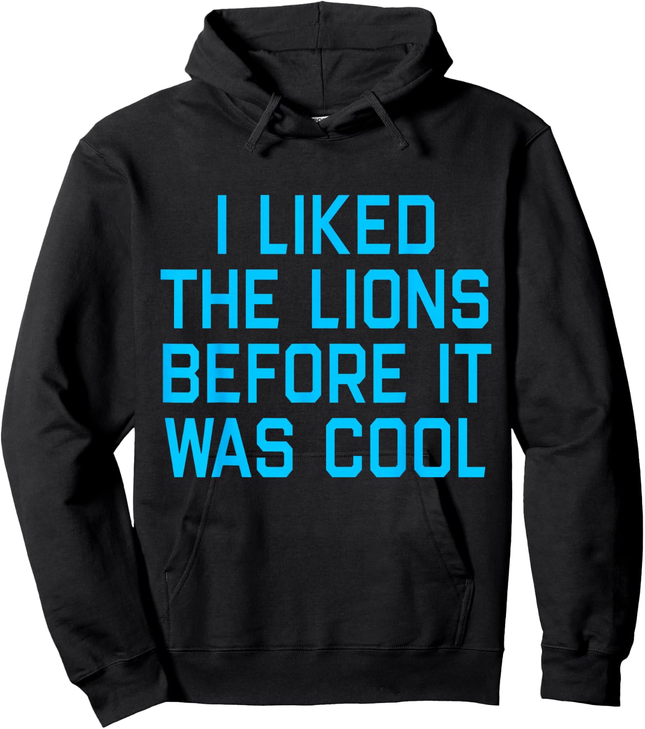 I Liked The Lions Before It Was Cool Apparel Hoodie - Hoodie | Black