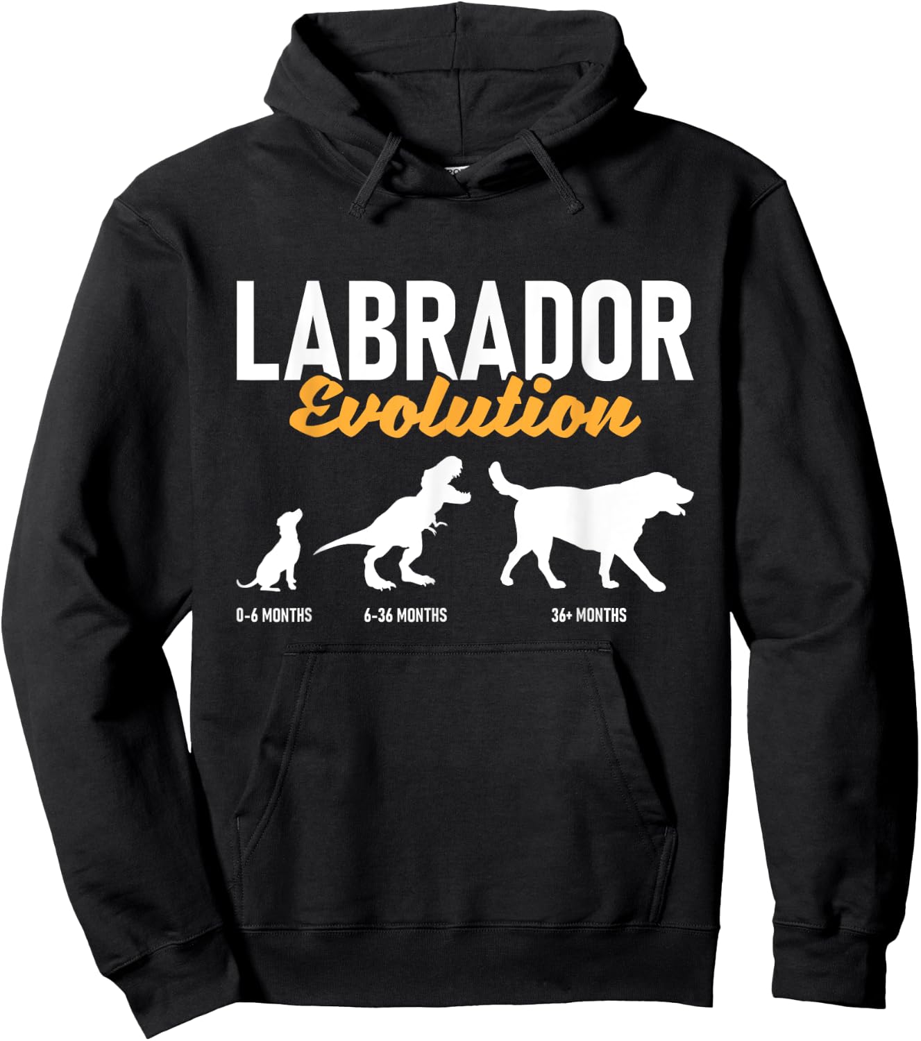 Labrador Evolution - Pet Owner Animal Dog Lover Hoodie - Hoodie | Black