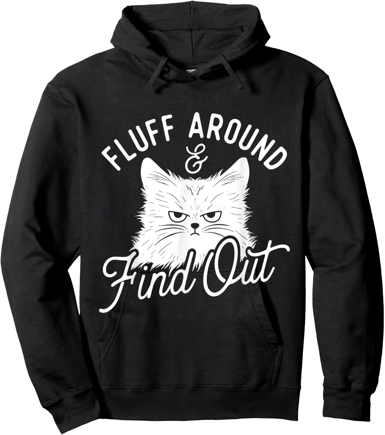 Fluff Around & Find Out - Cat Lover Kitten Owner Hoodie - Hoodie | Black