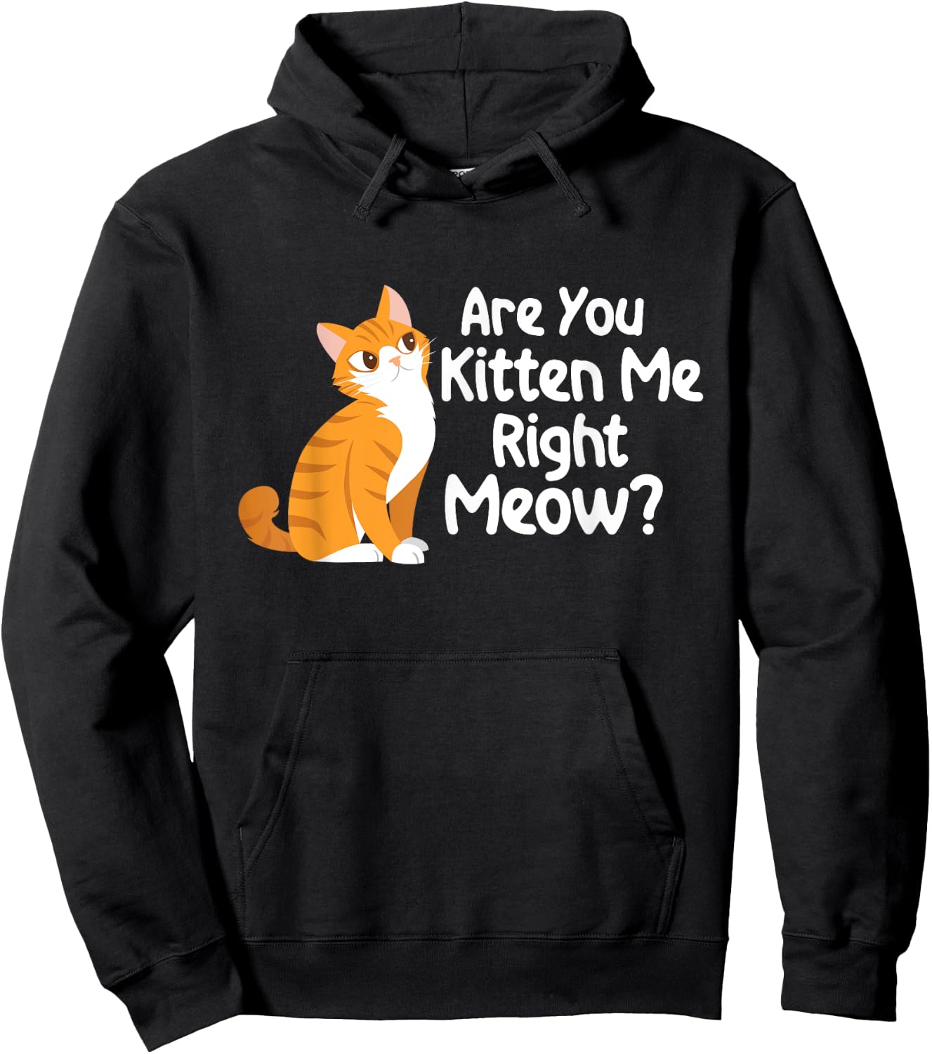 Are You Kitten Me Right Meow - Cat Lover Kitty Owner Hoodie - Hoodie | Black
