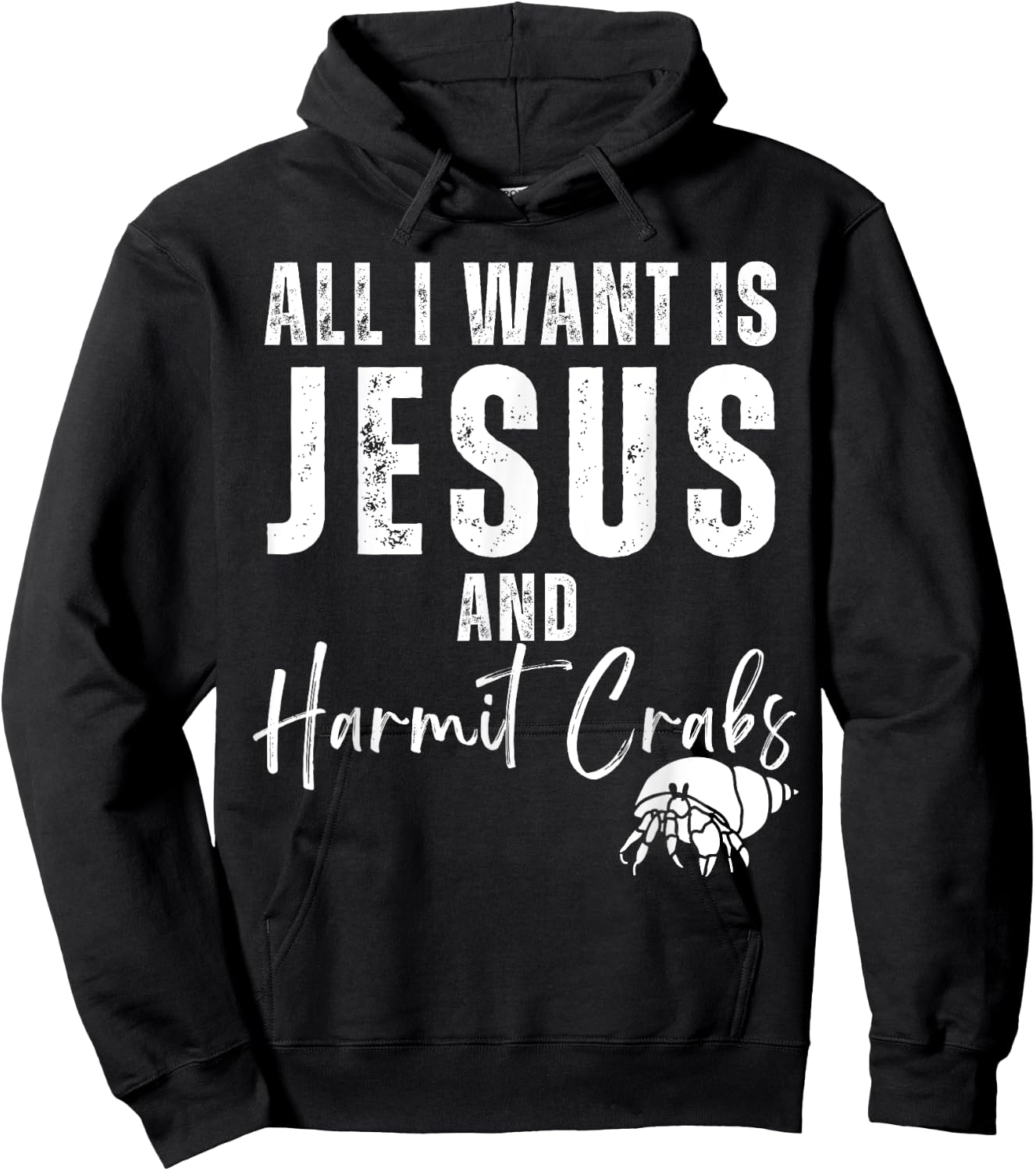 All I Want Is Jesus And Hermit Crabs Christian Humor Funny Hoodie - Hoodie | Black