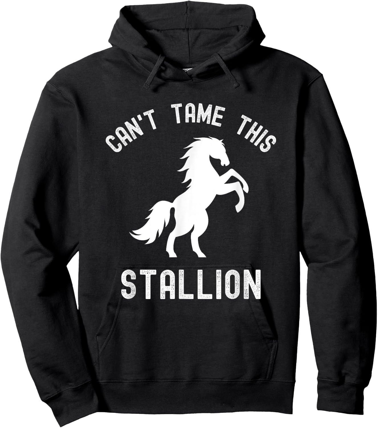 Can't Tame This Stallion, Funny Horse, Wild Horse Hoodie - Hoodie | Black