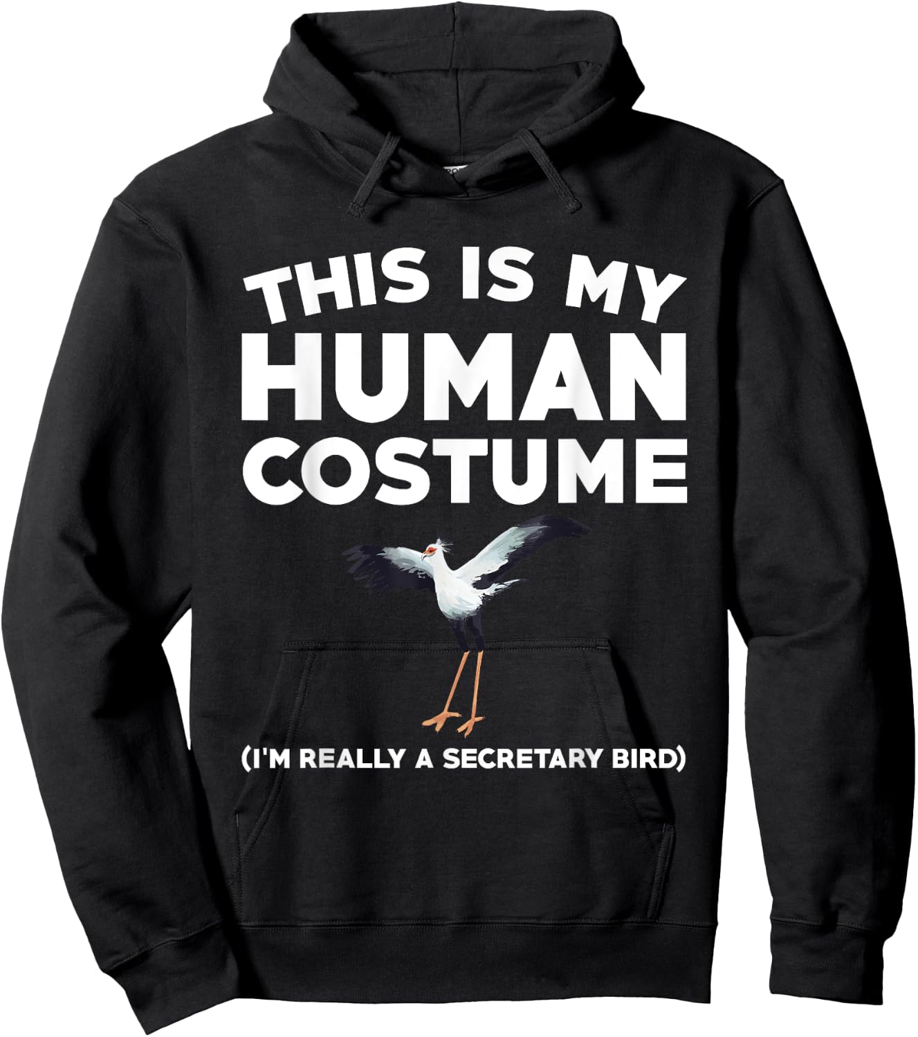 Funny Secretary Bird Watching Saying Birding Lover Hoodie - Hoodie | Black