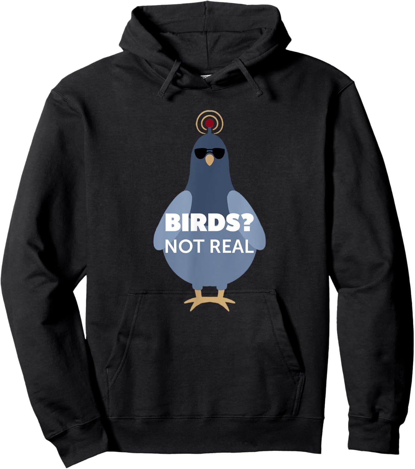 Birds? They Aren't Real Shirt | Funny Conspiracy Theory Hoodie - Hoodie | Black