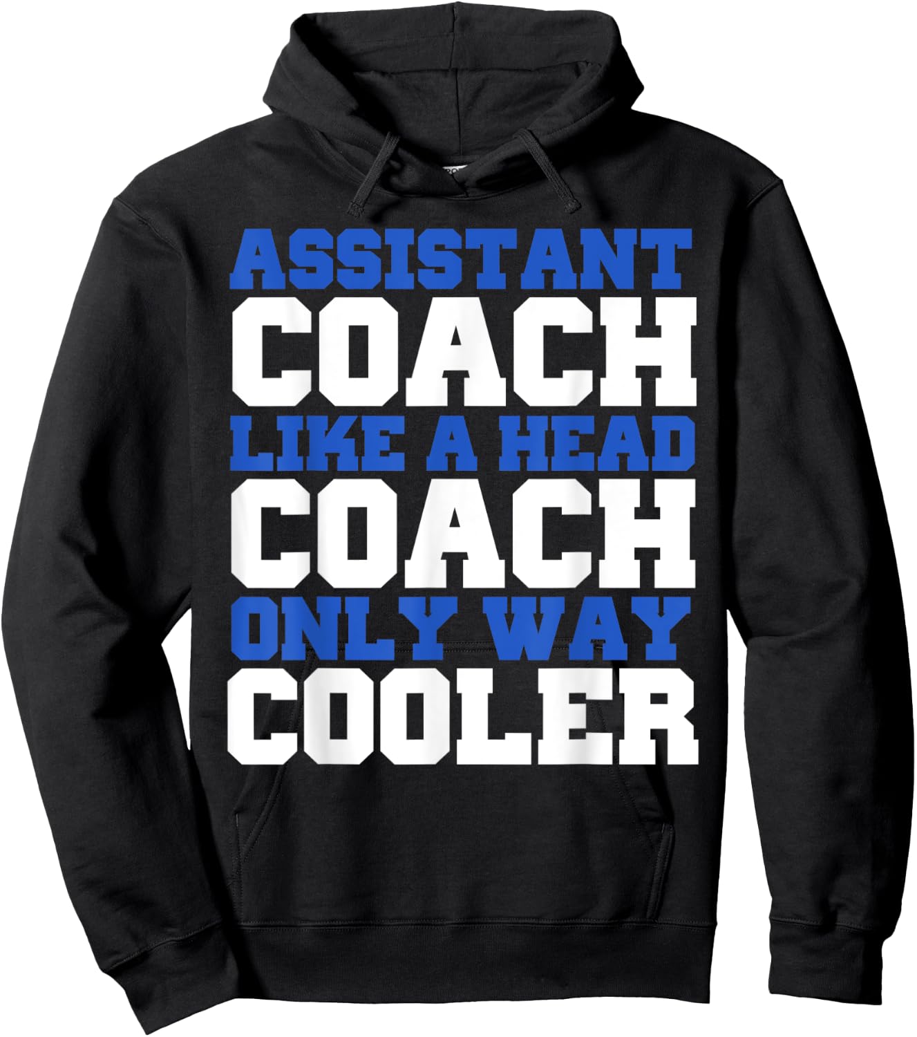 Assistant coach like a head coach only way cooler Hoodie - Hoodie | Black
