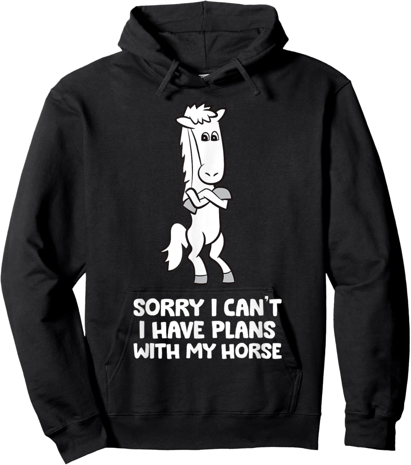 Sorry I Can't I Have Plans With My Horse Funny Equestrian Hoodie - Hoodie | Black