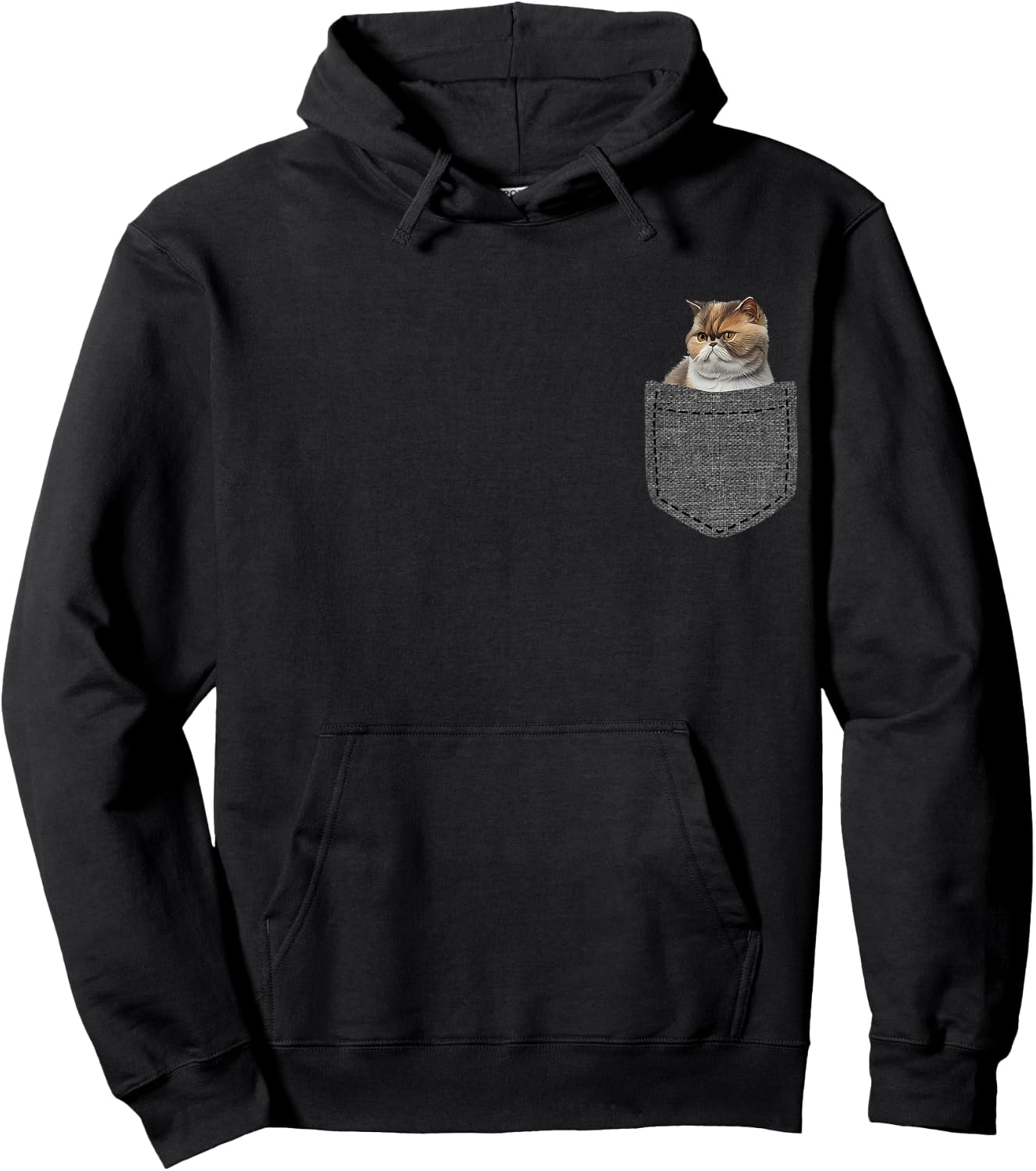 Persian Cat in Pocket Hoodie - Hoodie | Black