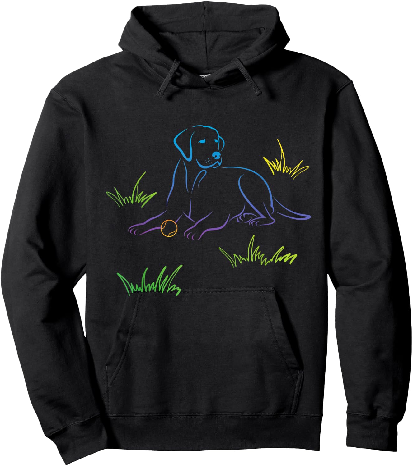 Labrador Retriever Catching Ball - Dog Owner Puppy Pup Lover Women Kids Hoodie - Hoodie | Black