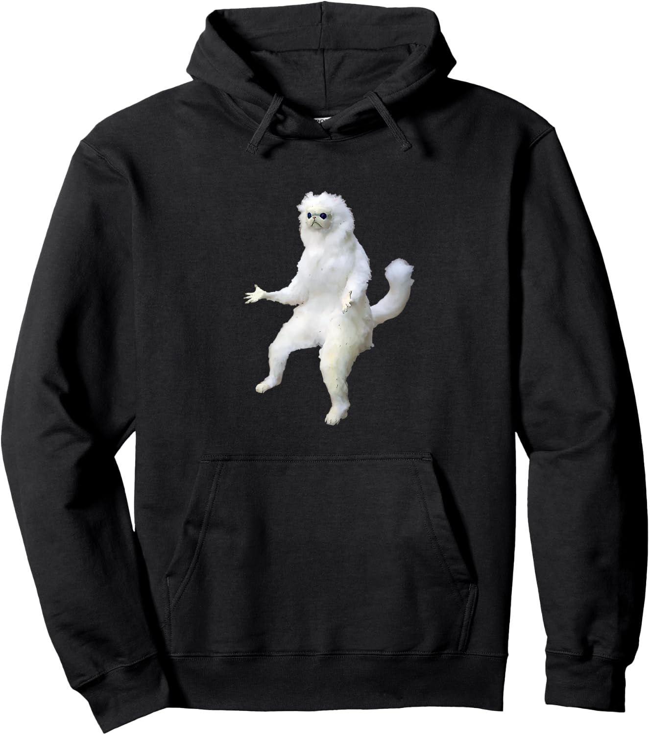Persian Cat Room Guardian Meme Vital Rending Funny Cat Hoodie - Hoodie | Black