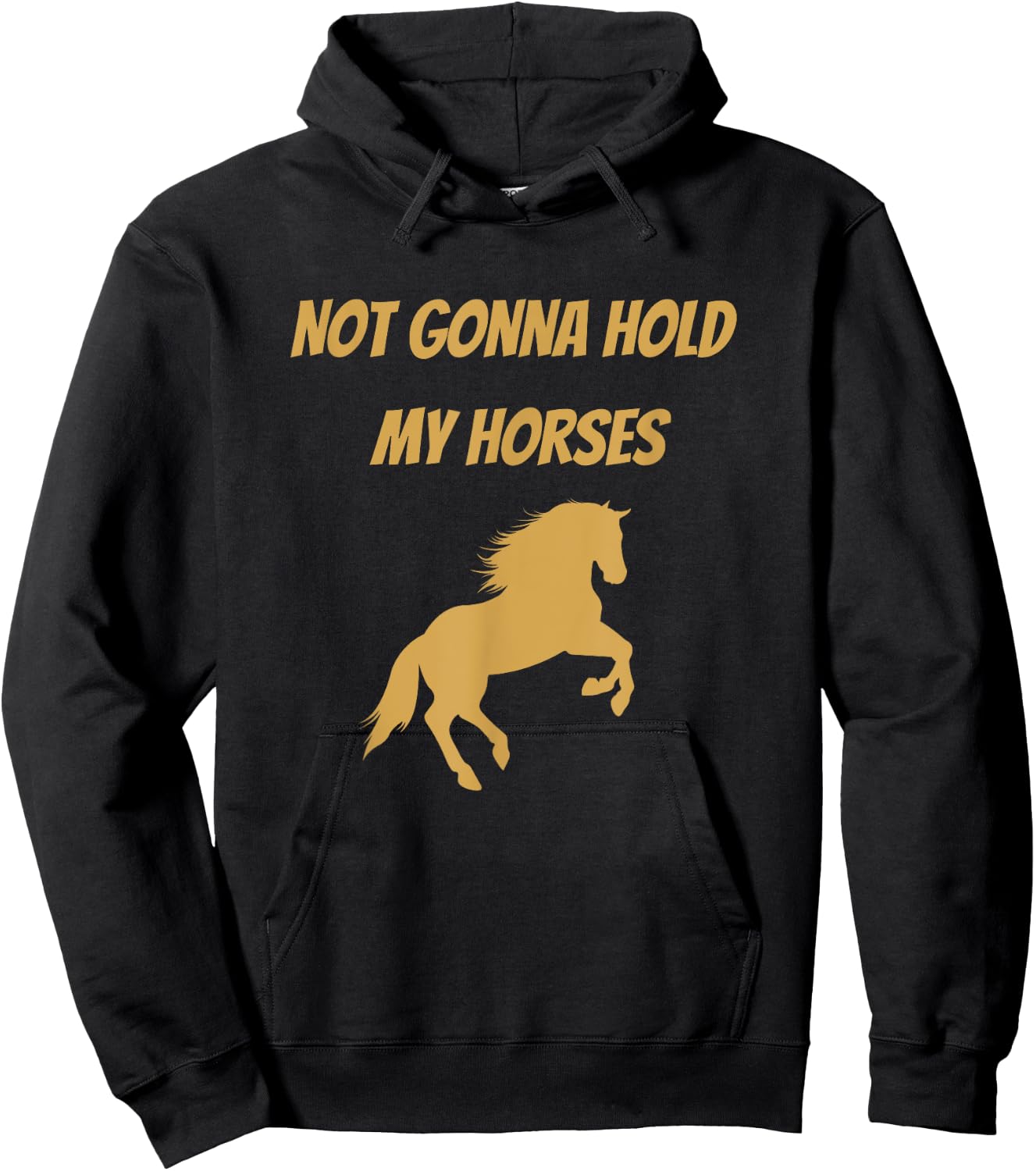 Funny Horse Quote Graphic Not Gonna Hold My Horses Hoodie - Hoodie | Black