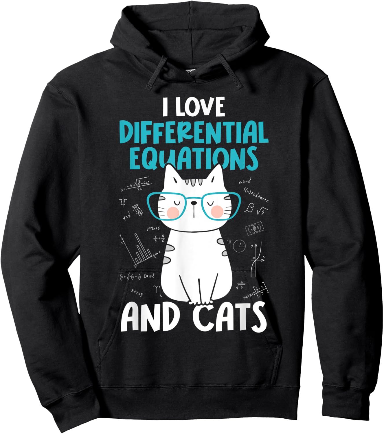 I Love Math and Cats - Funny Differential Equations Hoodie - Hoodie | Black