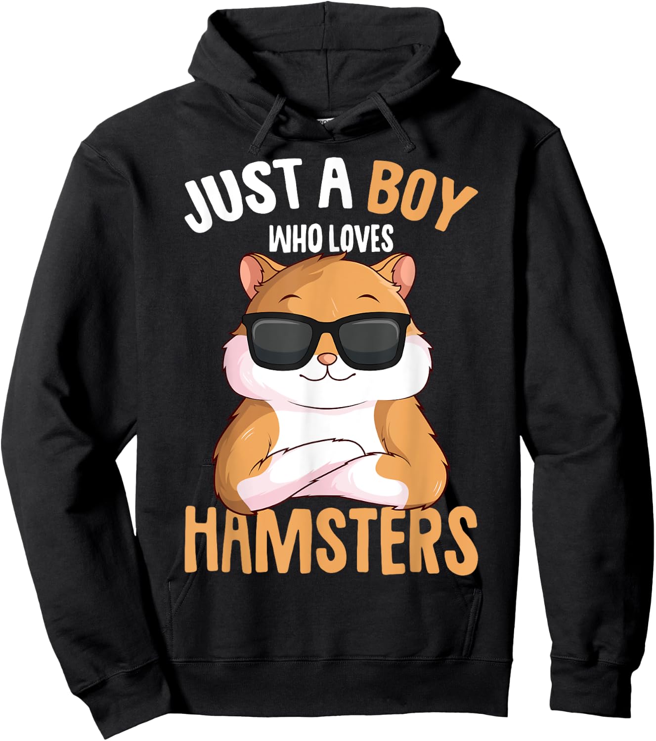 Just a Boy who loves Hamsters Boys Kids Hamster Hoodie - Hoodie | Black