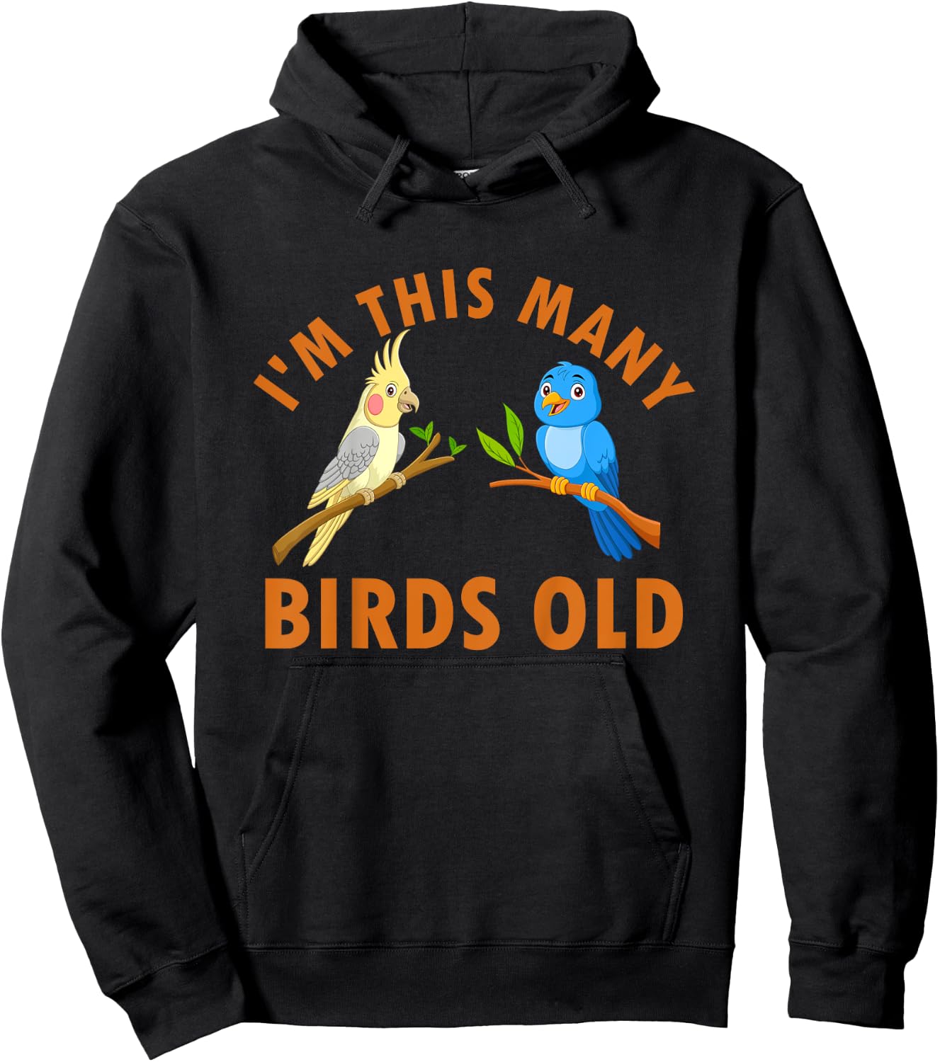 2 Year Old Birds Old 2nd Birthday Kids Hoodie - Hoodie | Black