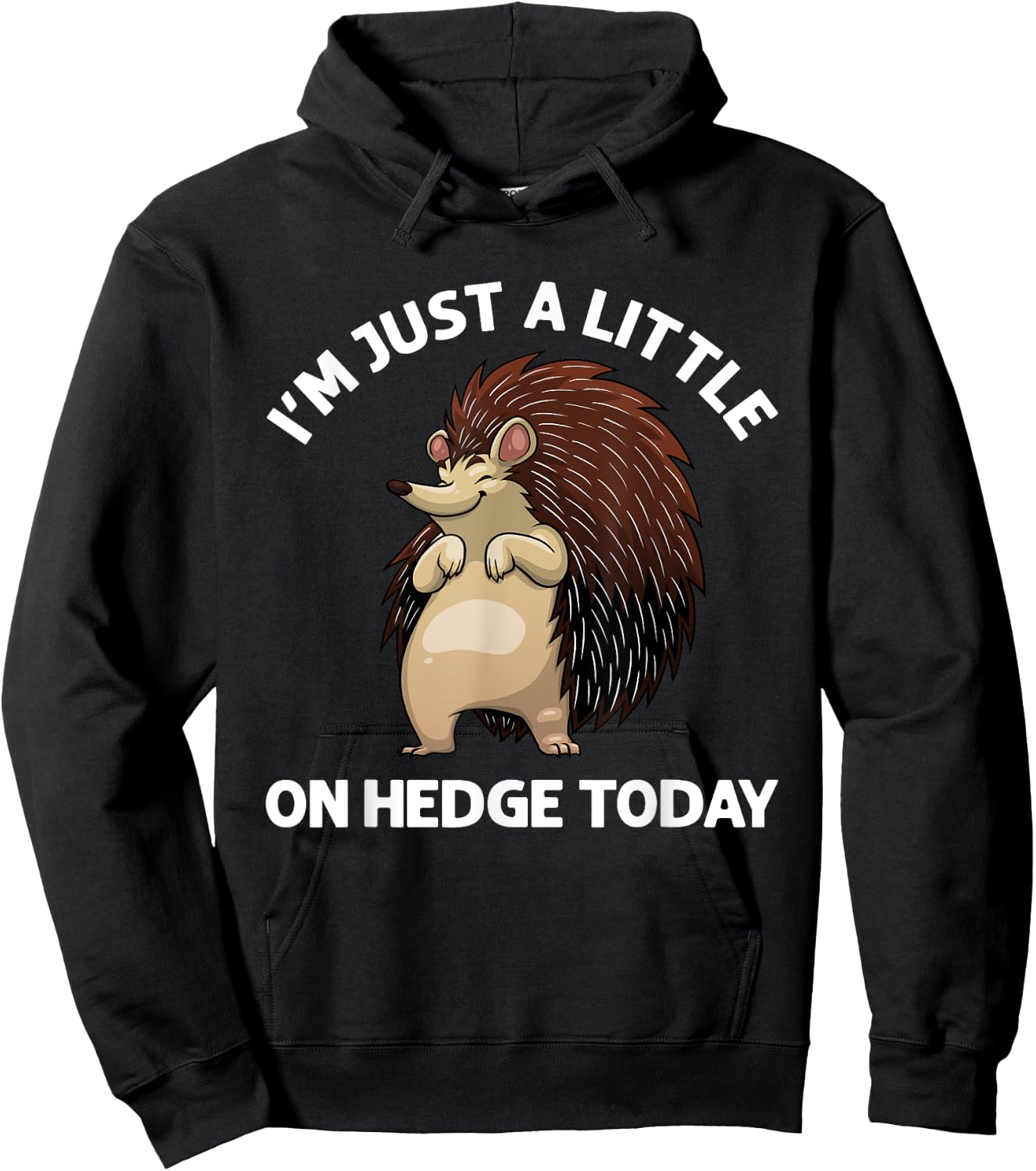 Funny Hedgehog Design Women Hedgehog Lover Porcupine Hoodie - Hoodie | Black