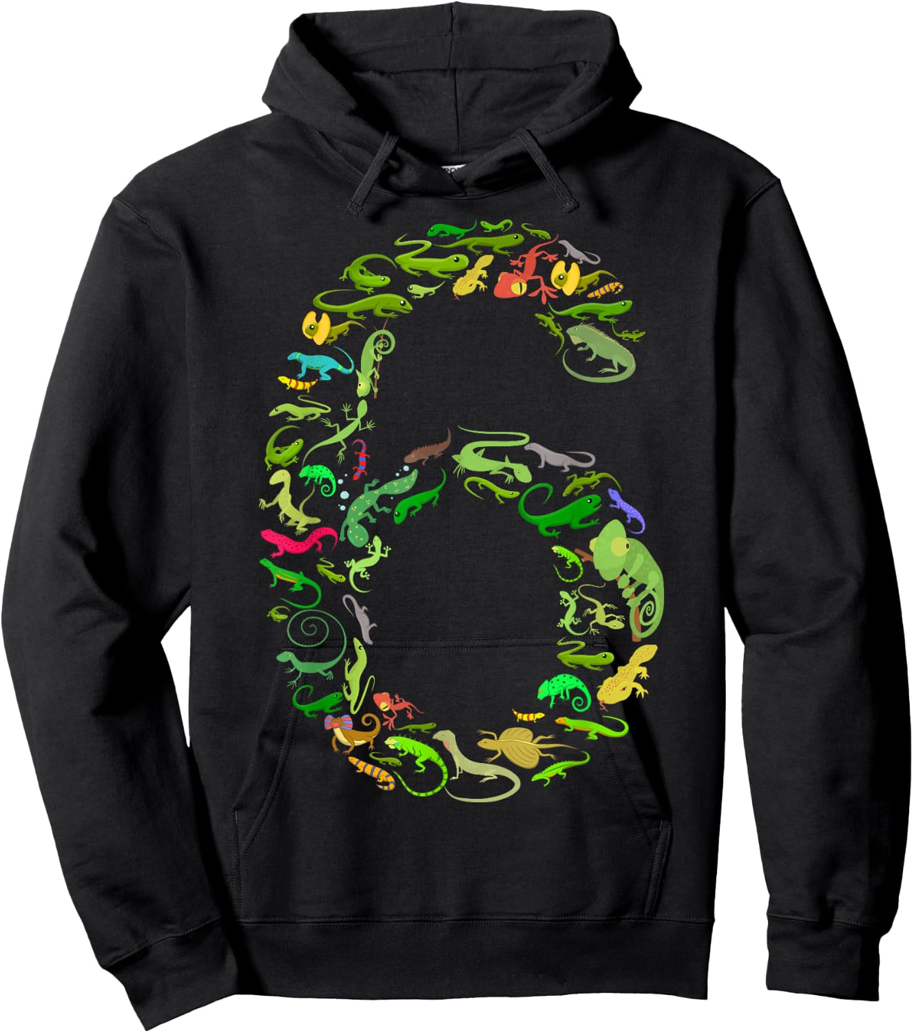 6th Birthday Lizard Reptile Birthday Party 6 Year Old Hoodie - Hoodie | Black