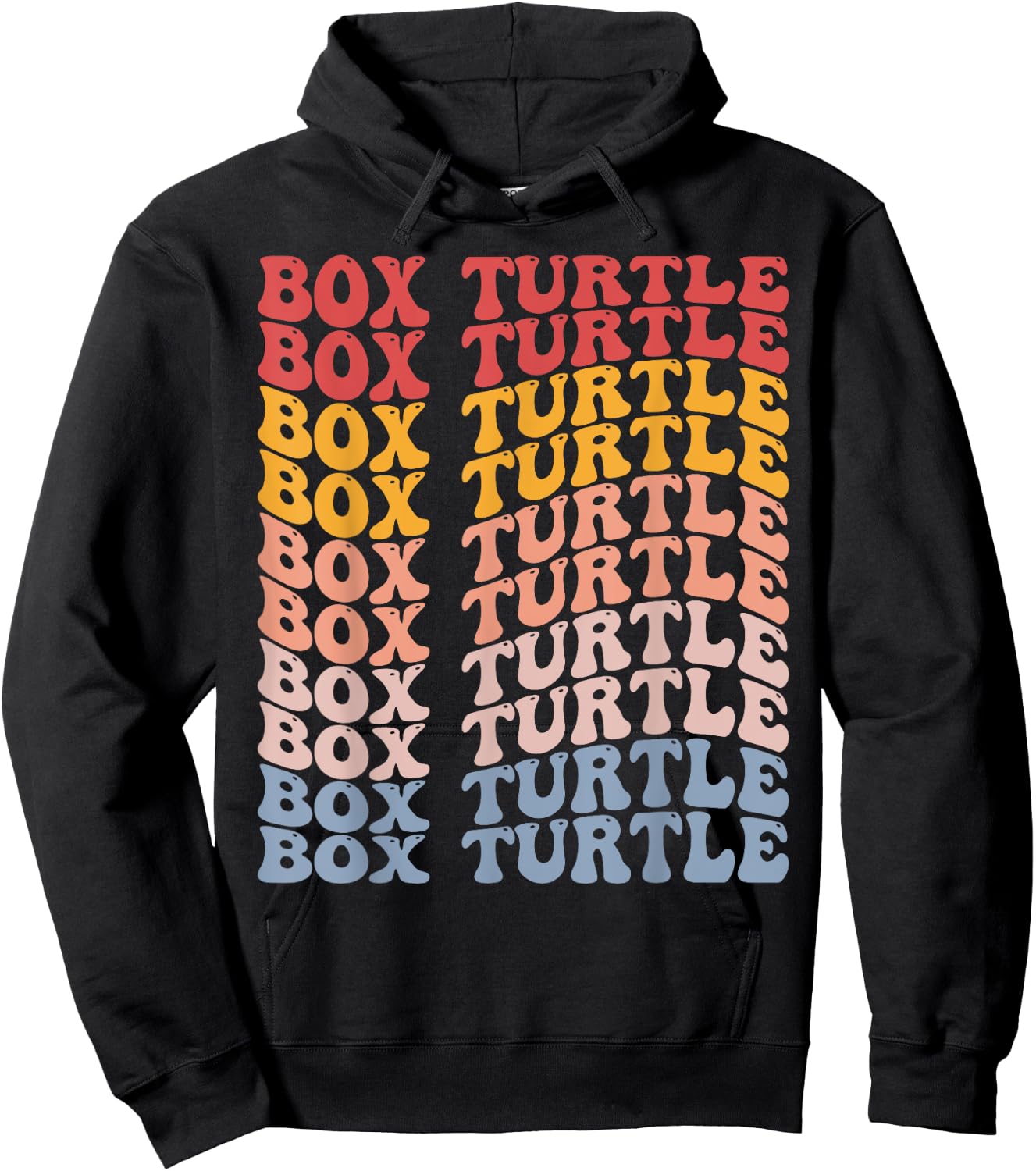 Box Turtle Groovy Retro Hoodie - Hoodie | Black