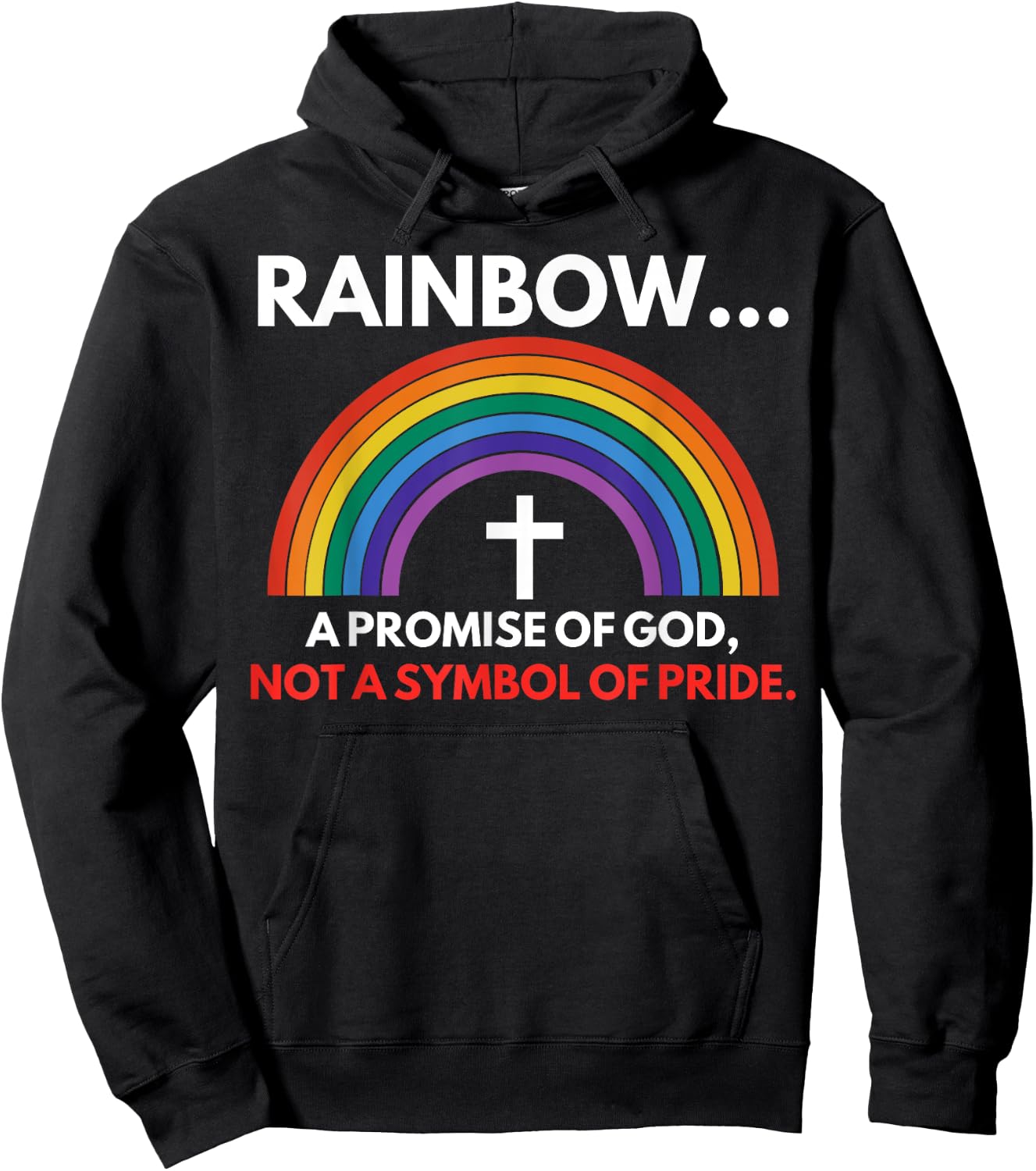 Rainbow A Promise Of God Not A Symbol Of Pride Hoodie - Hoodie | Black