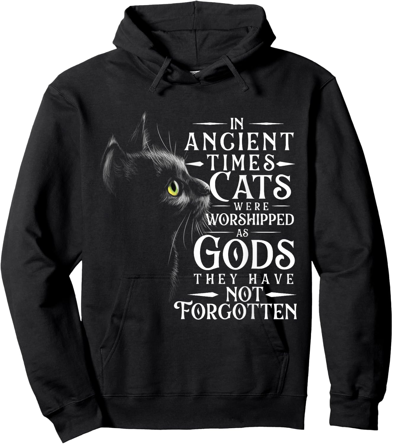 In Ancient Times Cats Were Worshipped As Gods - Pet Lover Hoodie - Hoodie | Black