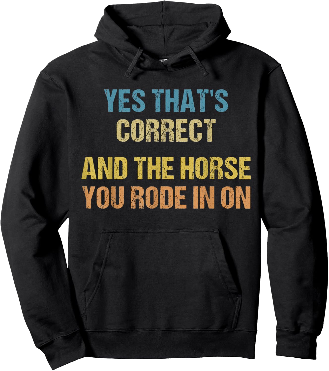Yes That's Correct, And The Horse You Rode In On Funny Hoodie - Hoodie | Black