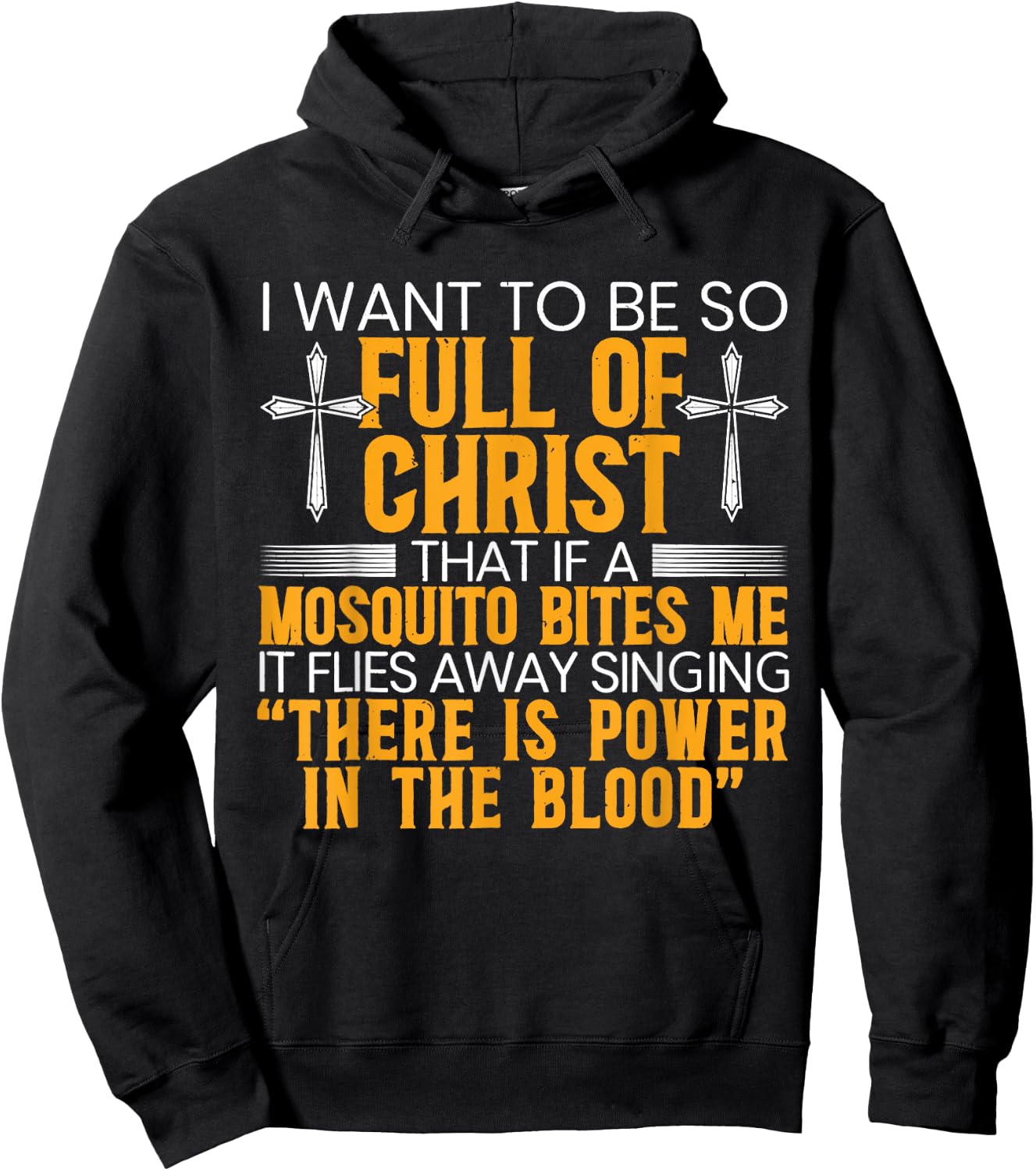 I Want To Be So Full Of Christ That If A Mosquito Bites Me Hoodie - Hoodie | Black