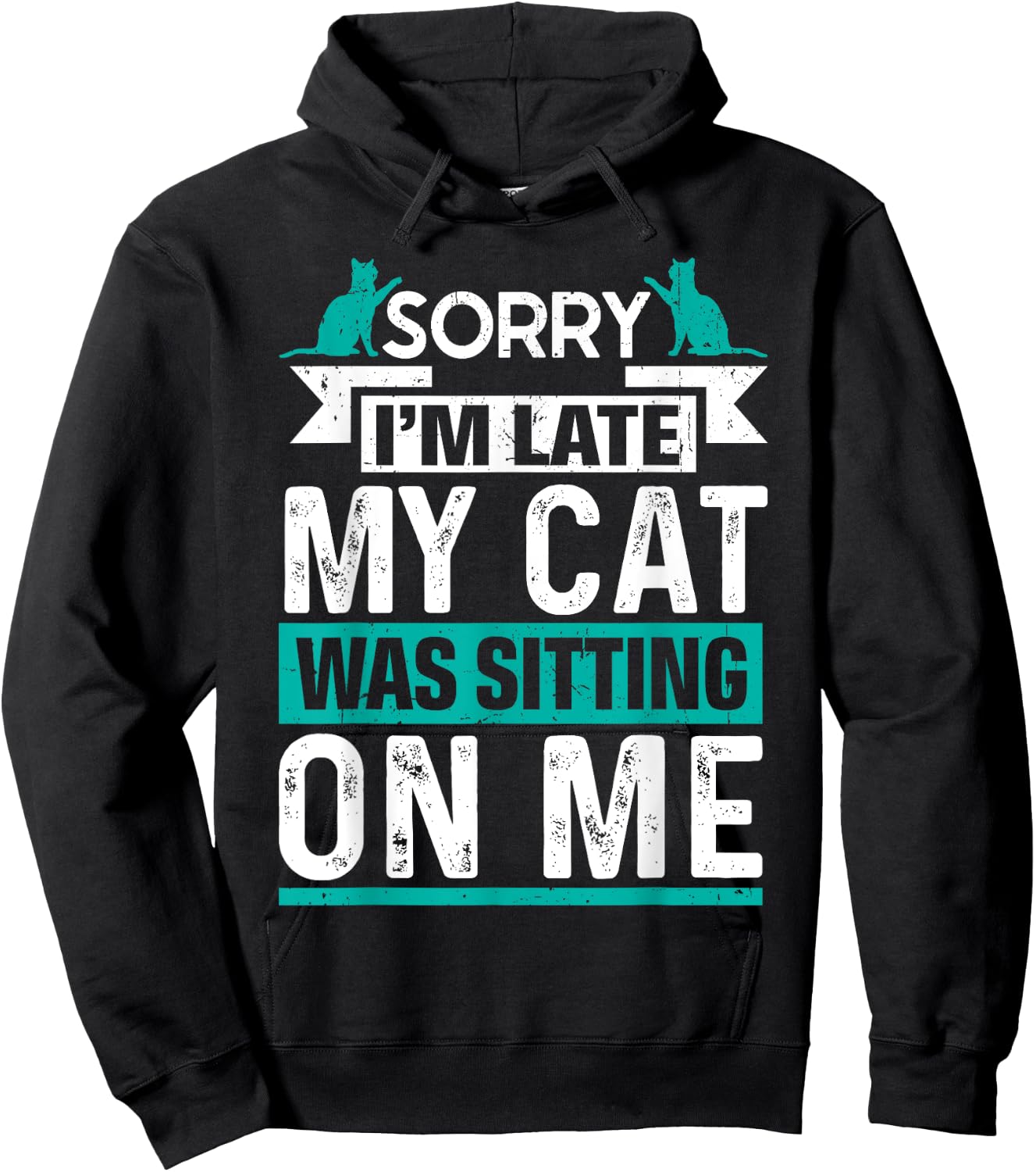 My Cat Was Sitting on Me Cat Owner Joke Funny Cat Lover Hoodie - Hoodie | Black