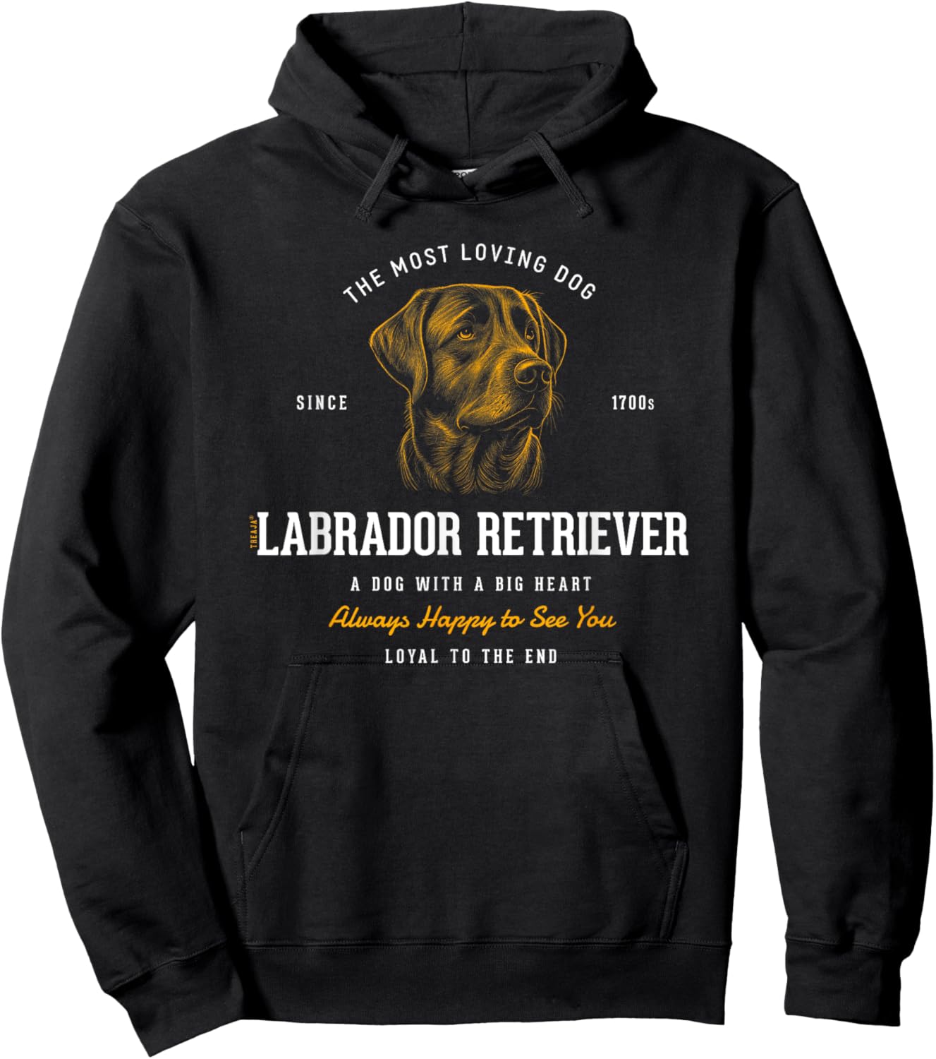 Vintage Styled Retro Labrador Retriever Hoodie - Hoodie | Black