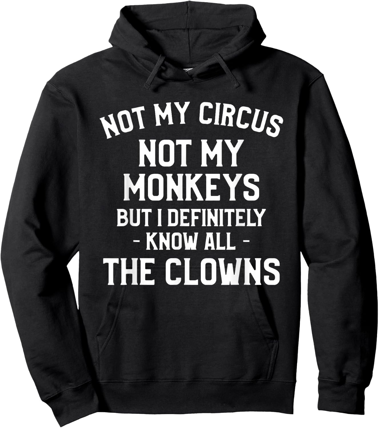 Not My Circus Not My Monkeys But I Definitely Know Nanny Hoodie - Hoodie | Black