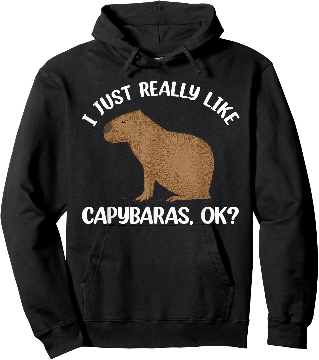 Funny Capybara Art Women Kids Rodent Capybara Lover Hoodie - Hoodie | Black