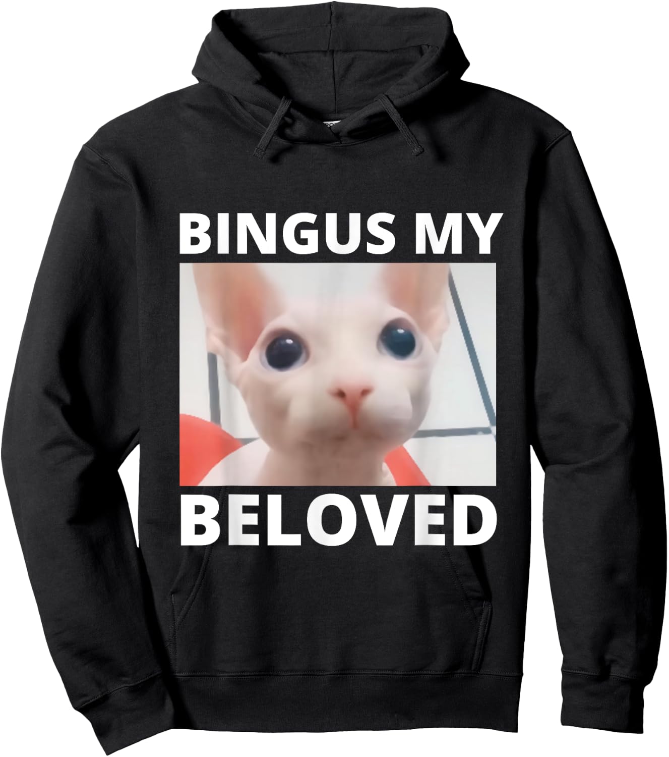 Funny Bingus My Beloved Hairless Sphinx Cat Bingus Cat Meme Men Women Girls Kids Hoodie - Hoodie | Black